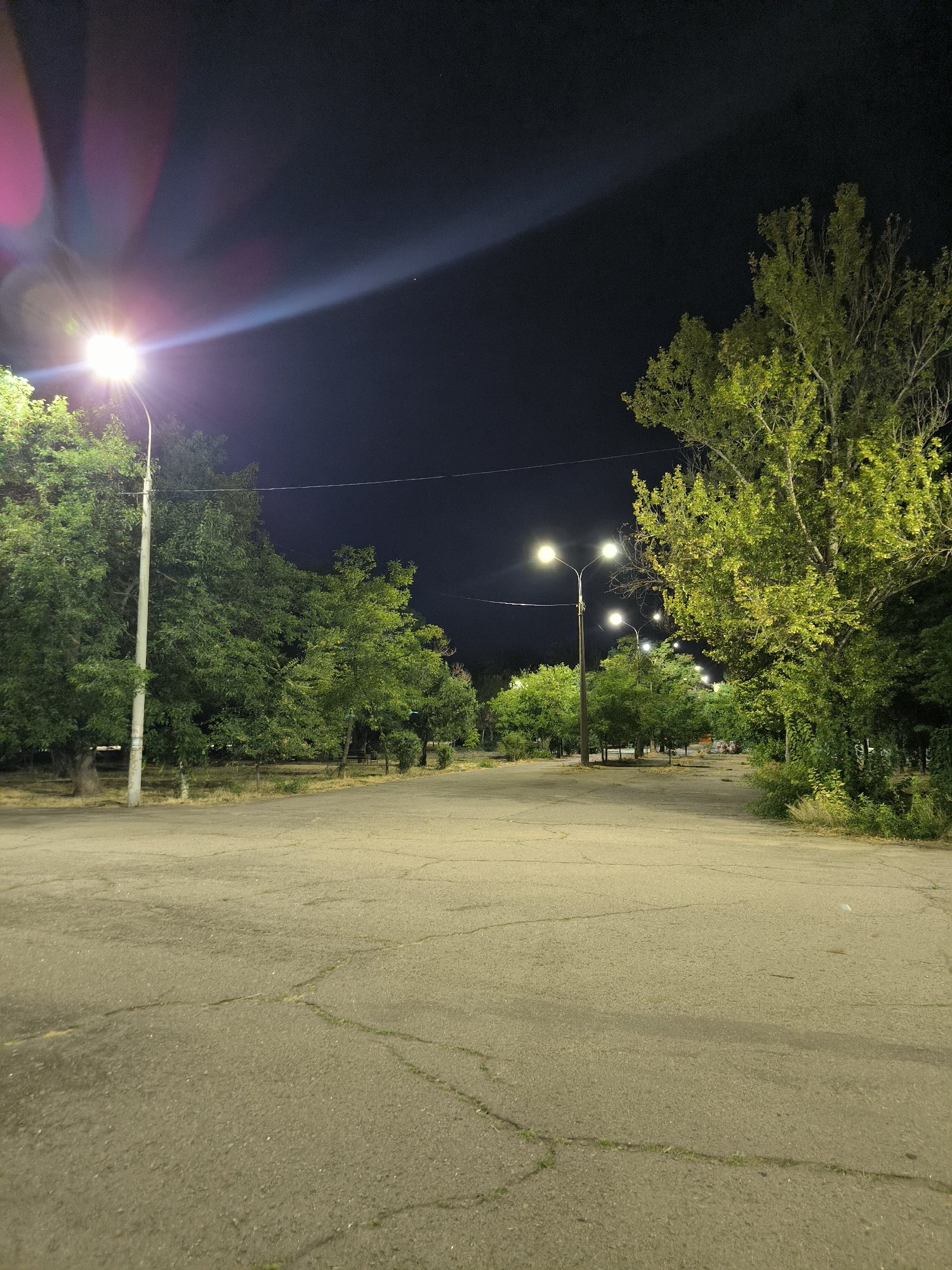 An asphalt road, cracked and worn, leads through a park-like setting at night. Tall trees with dense green foliage line both sides of the road. Streetlights cast a warm glow on the path and illuminate the trees. In the background, more streetlights are visible, creating a sense of depth and extending into the darkness. The sky above is a deep, dark blue, with the bright light from a streetlight in the foreground creating a lens flare. The scene appears to be in a quiet, possibly residential area, with the absence of people suggesting it is late at night or early morning. This location is the territory of the Mykolaiv National University.