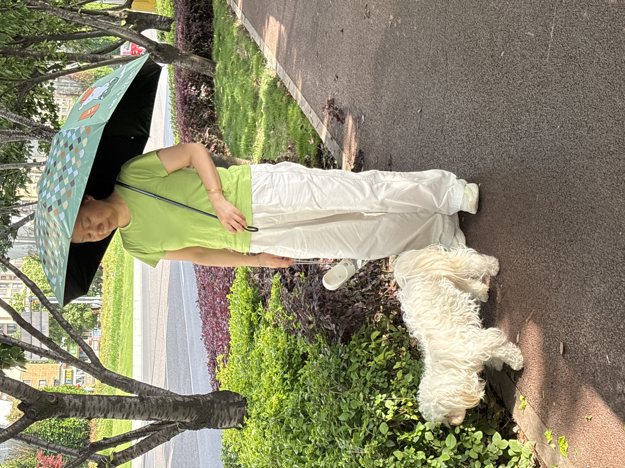 An outdoor scene in Jiangjin, China, depicts a person walking a small white dog along a paved sidewalk on a bright, sunny day. The person, positioned centrally, is wearing a light green short-sleeved t-shirt and loose white pants, with a gold bracelet visible on their right wrist. They are holding an open, light green umbrella, likely for sun protection, casting a shadow over their face.
The umbrella features a distinctive pattern of light blue, white, and green squares, along with a cartoon illustration of a white, possibly dog-like or dinosaur-like creature. The text "HAVE A NICE DAY" is clearly visible on the umbrella's surface.
To the person's right, a small, fluffy white dog with long, curly fur walks on a leash, its head lowered as if sniffing the ground or nearby bushes. The paved sidewalk is dark grey/brown and runs alongside a vibrant strip of green and reddish-purple bushes, with several trees providing additional shade. In the background, beyond the foliage, faint outlines of urban buildings can be seen. The overall impression is a casual stroll during daylight hours.