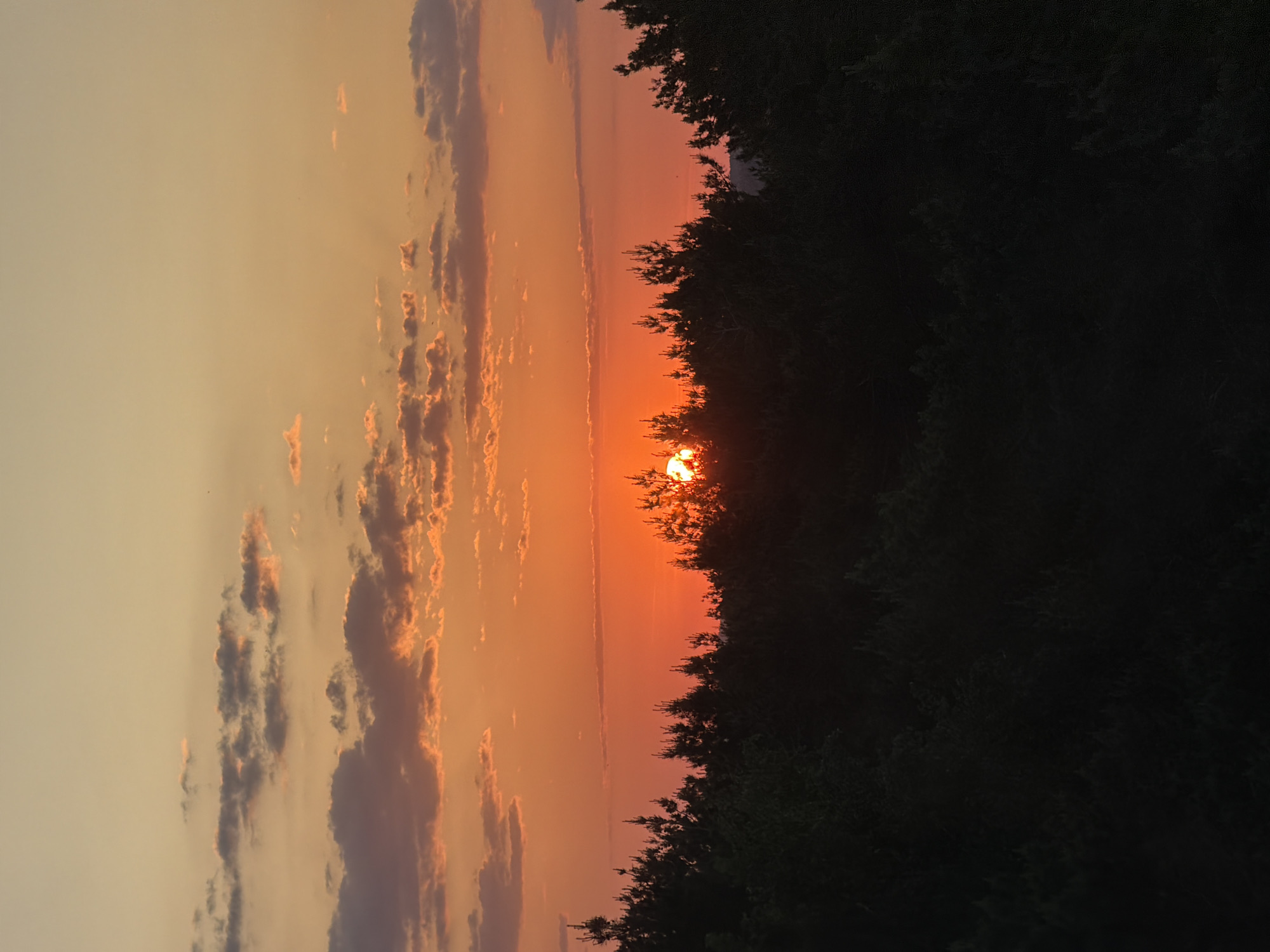 A vertical outdoor shot captures a sunset in Chaikovsky, Russia. The sun is partially obscured by the silhouetted treetops of a dense forest. The sky transitions from a pale yellow-orange at the top to a deeper orange near the horizon. Cumulus clouds are visible on the left side of the frame, tinged with the colors of the setting sun. The forest dominates the right side of the image, creating a stark contrast with the colorful sky.
