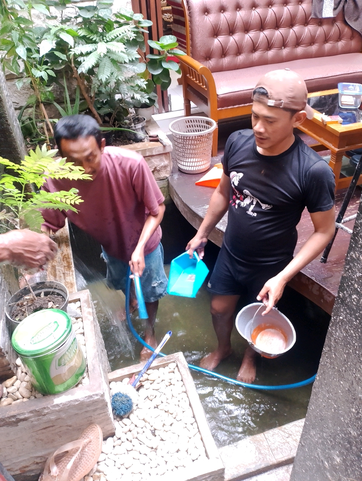 The image depicts an outdoor scene, possibly a courtyard or backyard, with elements suggesting a residential setting in Probolinggo, Indonesia. Two adult males are present. One man, wearing a pinkish-red t-shirt and denim shorts, is standing in shallow water and holding a blue hose, which appears to be supplying water. He is positioned near a potted plant with green leaves and a large green can with a label. The other man, wearing a black t-shirt with a graphic print and black shorts, has a beige baseball cap on. He is holding a blue plastic scoop in his left hand and a white bucket containing an orange substance in his right hand, which he is lowering into the water. Both men are barefoot. The environment includes stone walls, concrete structures, white pebbles, and lush green plants. In the background, a brown tufted sofa and a wooden table are visible, suggesting an indoor or covered area adjacent to the outdoor space. A white laundry basket and other household items are also present. The overall impression is one of manual labor, likely related to cleaning or water management.
