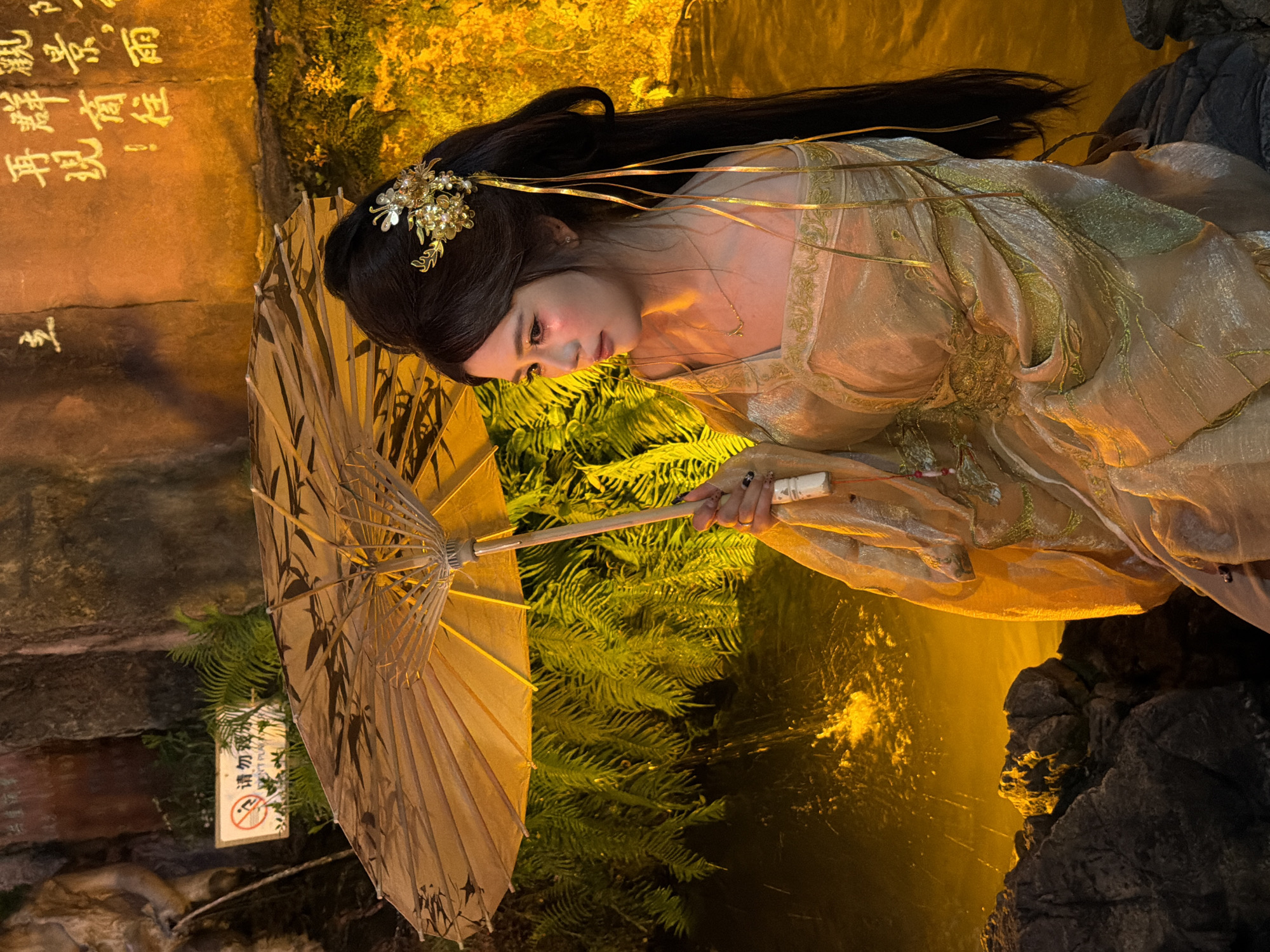 In Yuzhong District, China, a young woman in traditional Chinese attire is captured in a dimly lit, atmospheric scene. She is adorned in a flowing, shimmering golden gown with intricate embroidery and delicate gold ribbons that cascade around her. Her dark hair is styled elegantly with a jeweled hairpin. In her hands, she holds an ornate, bamboo-ribbed umbrella, its fabric decorated with dark bamboo motifs.
The background suggests an outdoor setting, possibly a garden or natural landscape illuminated by a warm, golden light, creating a mystical ambiance. Lush green foliage, possibly ferns, is visible beneath the umbrella, and dark, rocky formations are present. The light reflects vibrantly on the water-like surface behind her, hinting at a tranquil body of water.
A small sign is hanging on a plant, featuring Chinese characters and a prohibition symbol, indicating a restricted area or a warning. The woman's pose and her gaze are introspective, conveying a sense of serenity and perhaps contemplation. The overall mood is one of quiet beauty and timeless elegance. The time of day is not explicitly indicated but the low, warm lighting suggests evening or a carefully staged illumination.
