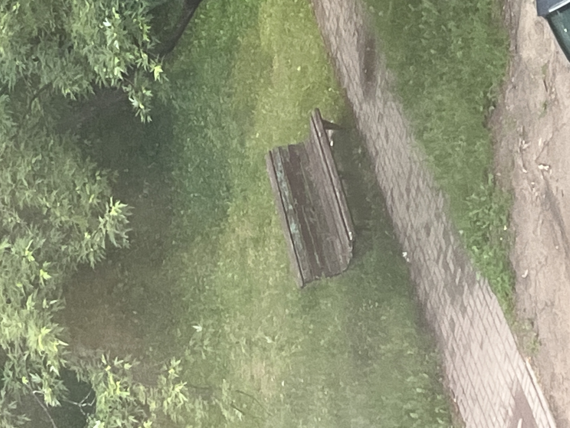 The image captures an outdoor scene in Minsk, Belarus, featuring a weathered wooden park bench situated next to a brick pathway. The bench, with its green-painted wooden slats, shows signs of age and wear. It is positioned on a grassy area bordered by lush green foliage from trees and shrubs. The pathway, composed of rectangular bricks laid in a herringbone pattern, runs diagonally across the foreground and to the right of the bench, showing some damp patches. The overall environment is that of a park or a green public space, with an abundance of vegetation. There are no people or animals visible in the frame, and the scene appears to be a static, unposed moment.