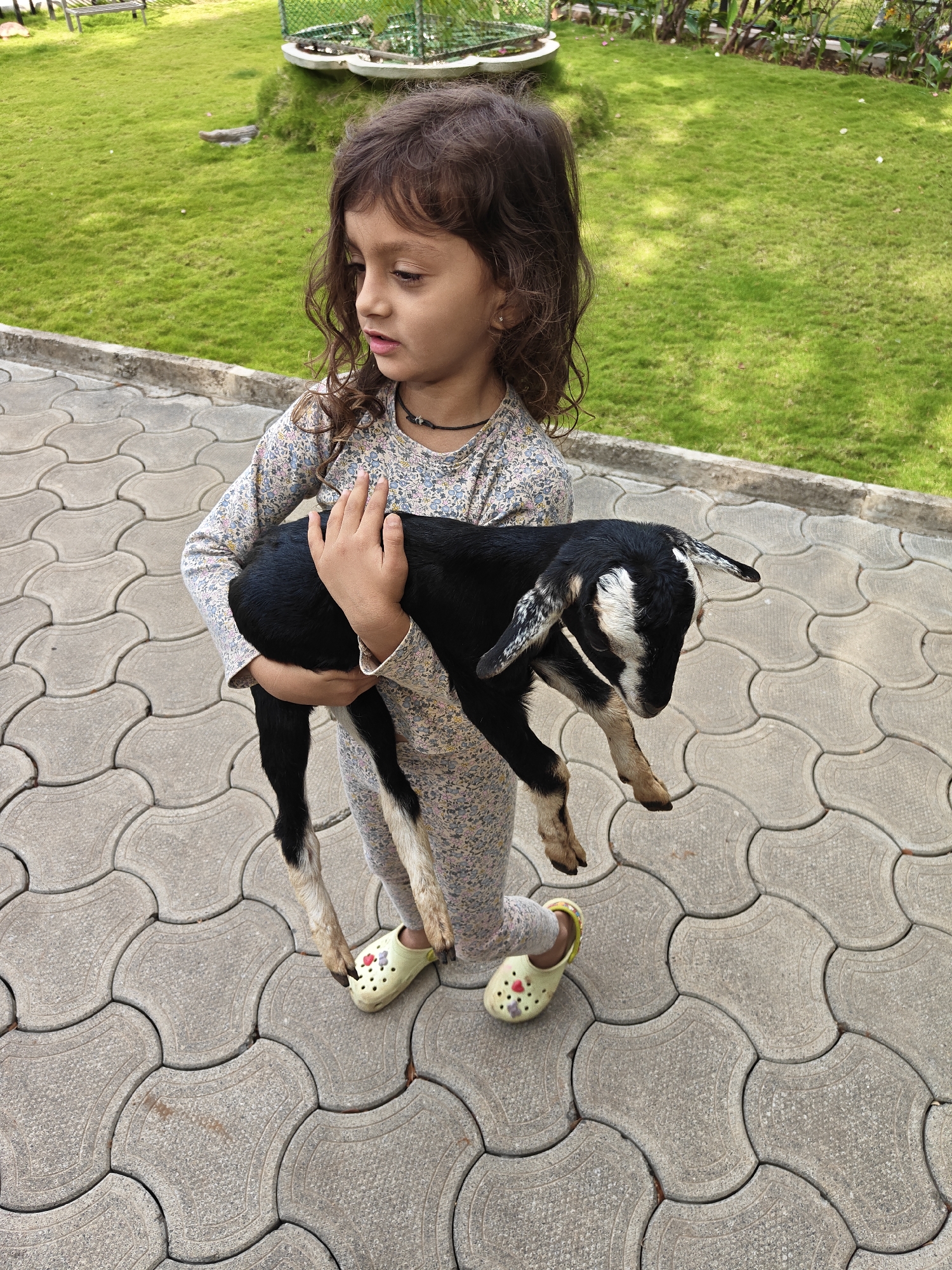 In Kalote Mokashi, India, a young girl with curly brown hair stands on a gray interlocking paver surface. She wears a long-sleeved floral-patterned shirt and matching leggings, along with yellow slip-on shoes adorned with floral decorations. The girl is holding a young black and white goat. The goat is positioned in her arms with its head drooping downwards. In the background is a well-maintained green lawn. A decorative fence and some garden features are visible further back.