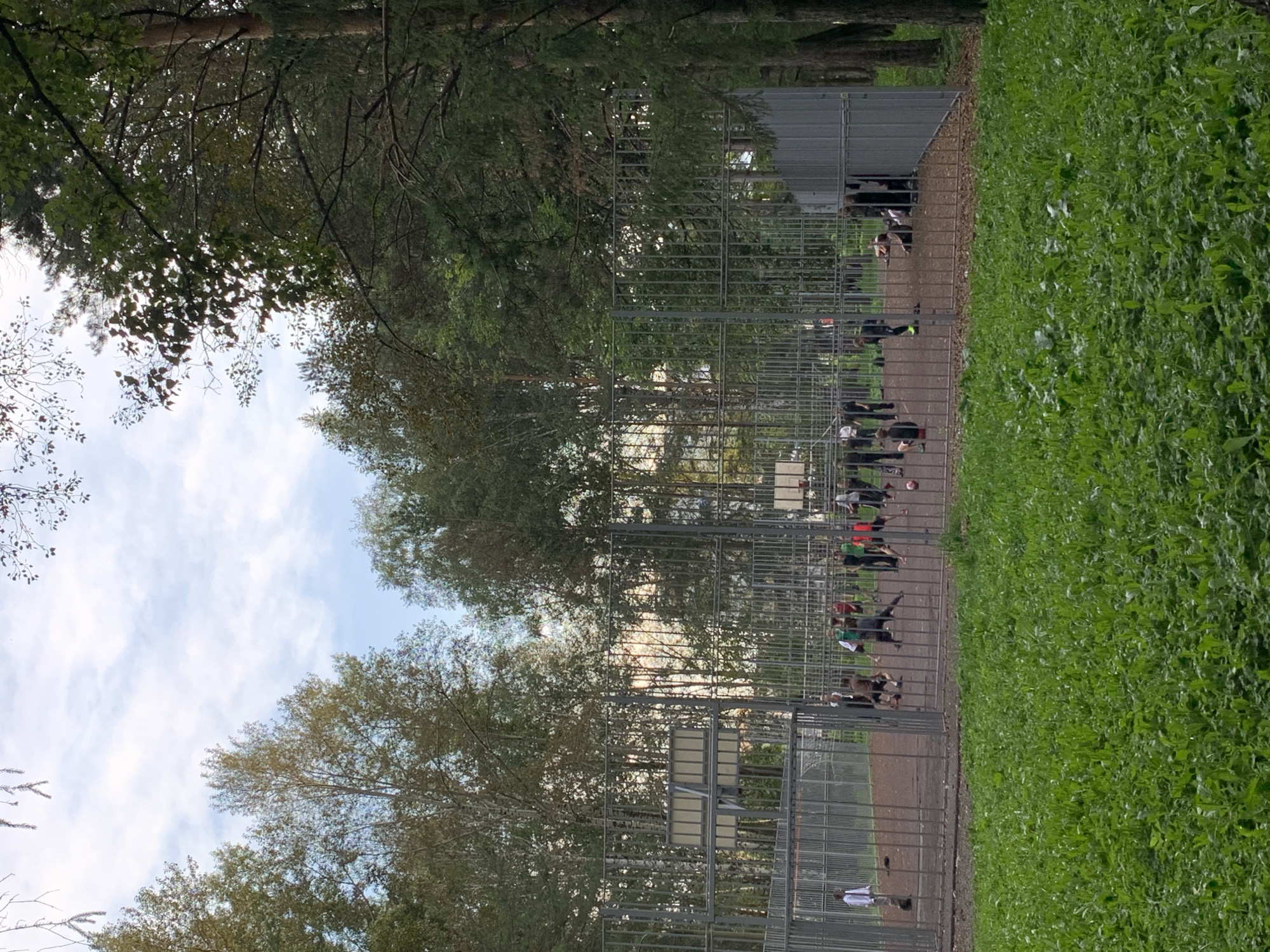 A group of young people are playing soccer on an outdoor court surrounded by a metal fence. The court has a dirt surface. In the background, there are trees and a cloudy sky. The overall setting appears to be a park or recreational area within a city.