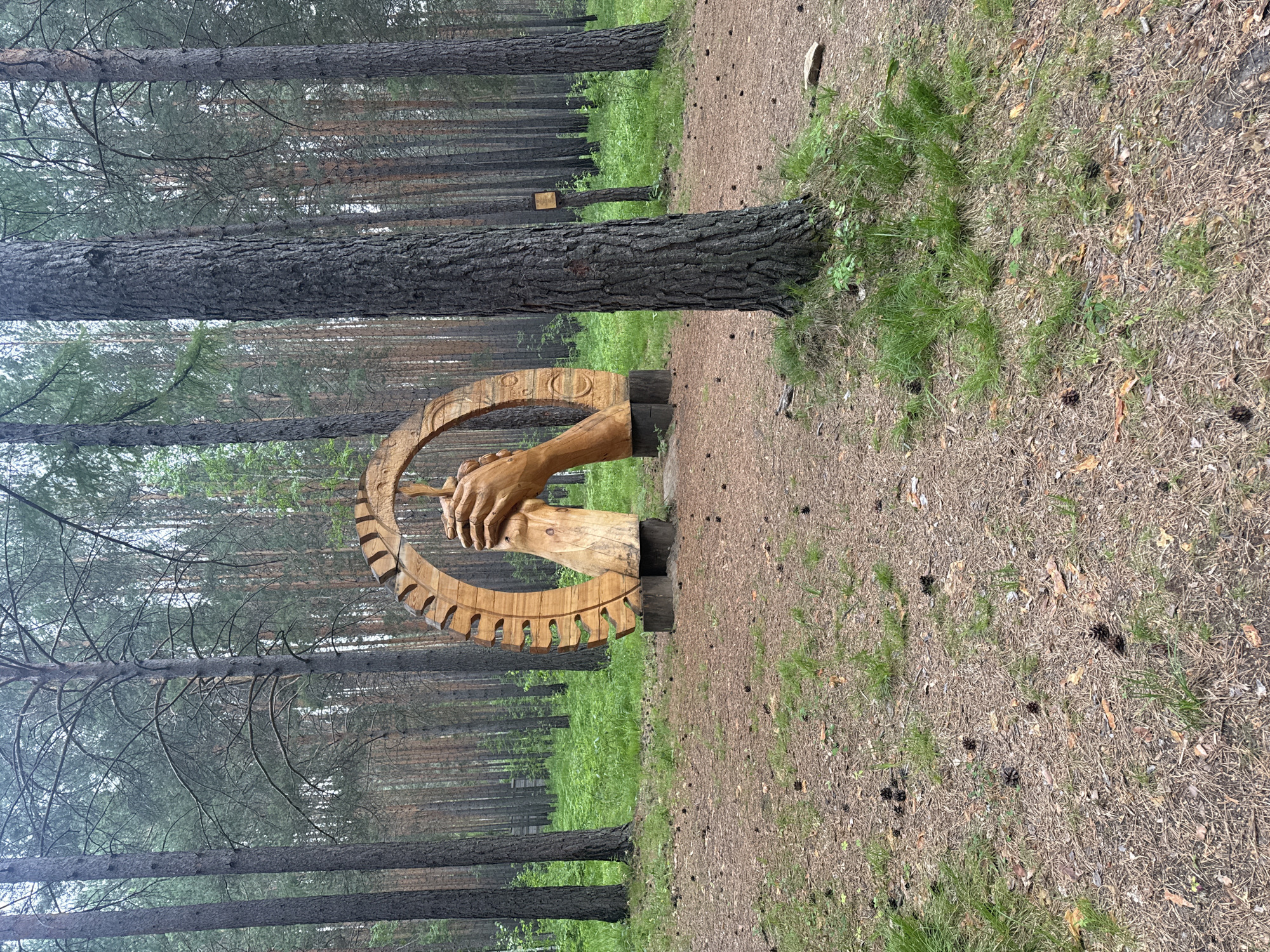 A wooden sculpture of two hands cupping a seedling is displayed in a pine forest in Savvateevka, Russia. The sculpture is made of light-colored wood and is circular in shape, with spokes radiating from the center. The hands are depicted as if holding a small plant, with the fingers gently curved around it. The sculpture is placed on a raised wooden base. The surrounding environment consists of tall pine trees with a thick undergrowth of grass and pine needles on the forest floor. The lighting is soft and diffused, suggesting an overcast day. There are no people visible in the image.