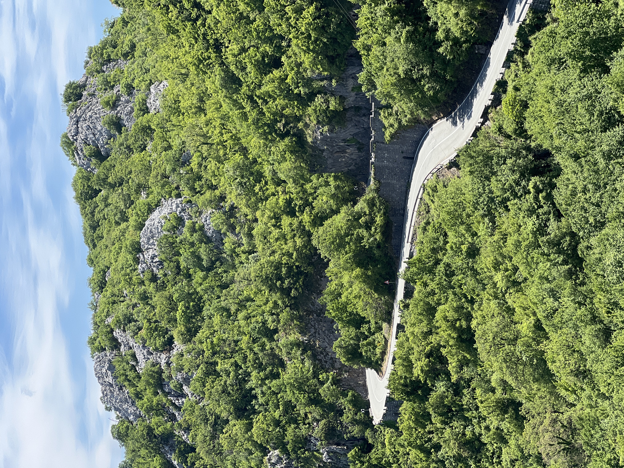 A landscape photograph depicts a winding road cutting through a densely forested area, possibly in a mountainous region. The road is light gray with white edge markings, and it curves sharply amidst lush green trees. To the left, a rocky cliff face partially covered in vegetation rises up, contrasting with the smooth surface of the road. The sky above is visible in the upper left corner with blue and white hues. The scene is located in Bukovik, Montenegro, based on the location details provided. No people or other significant subjects, beyond the landscape features, are apparent. The environment appears to be a rural setting with natural terrain being the dominant feature.