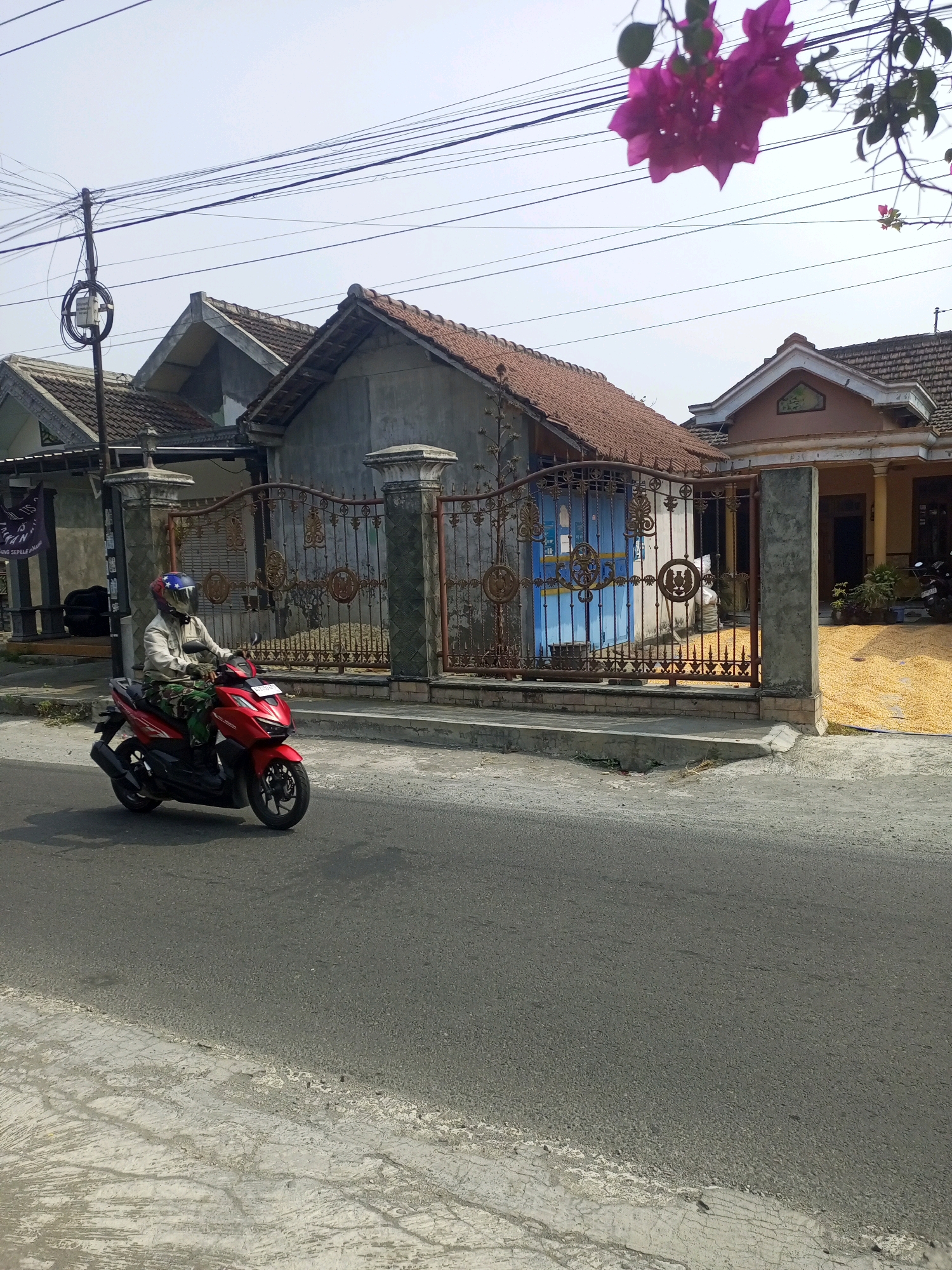 A person wearing a helmet and a light-colored jacket is riding a red motorcycle on a paved road in Ngasem, Indonesia. The motorcycle has a license plate. The rider is wearing camouflage pants. In the background, there are houses with tile roofs and a decorative metal gate. Some houses have concrete pillars. In front of one of the houses, there is a large pile of yellow material, possibly corn. Overhead, there are power lines and a clear sky. There are also some pink flowers hanging from branches in the upper right corner. The road has a distinct white line marking the edge of the pavement.