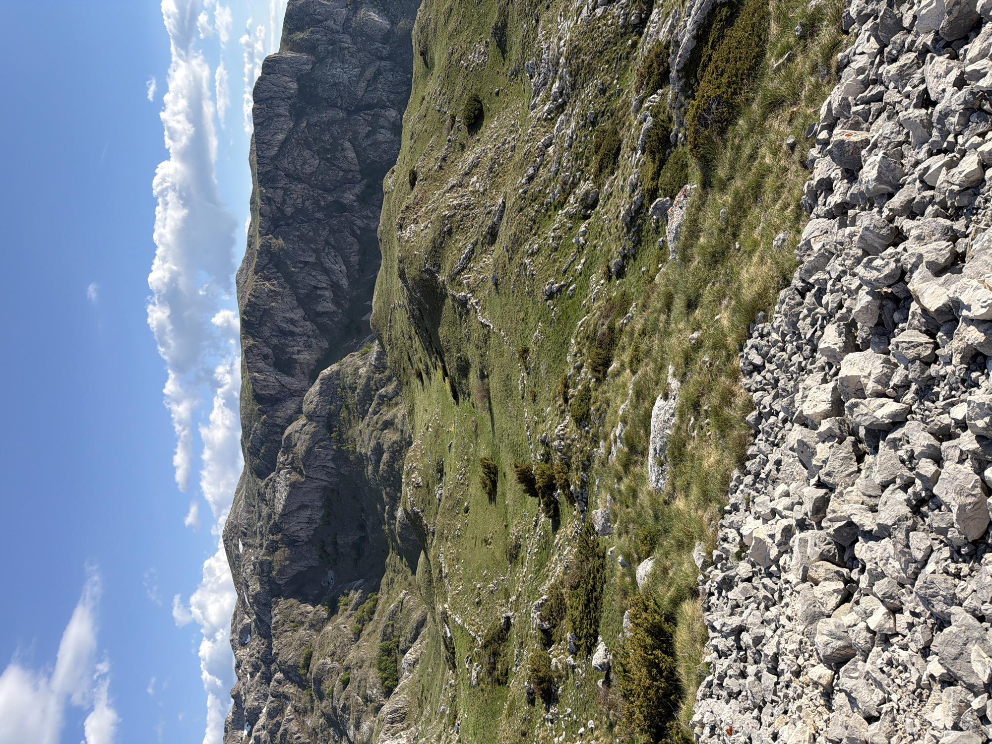 The image depicts a mountainous landscape in Boričje, Montenegro. A rugged mountain face dominates the left side of the frame, its rocky surface sparsely covered with vegetation. To the right, a steep slope covered in green grass interspersed with rocks descends towards a field of loose, gray rocks in the foreground. Above the mountain, a bright blue sky is visible with scattered white clouds. There are no people visible.
