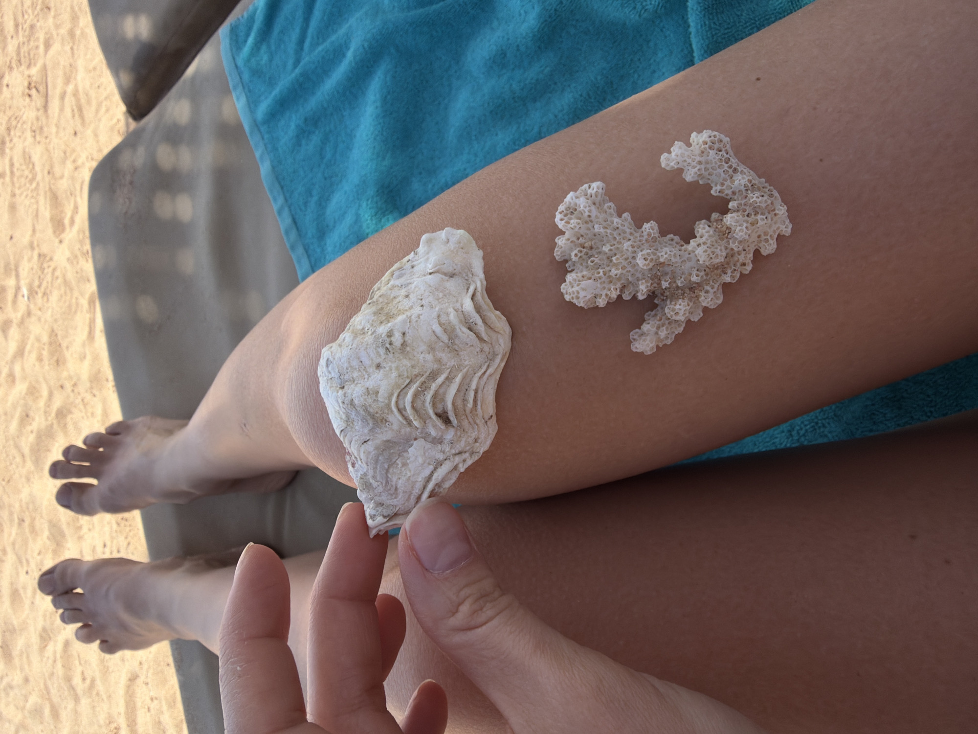 The image captures a close-up, high-angle view of a person's legs and hand, likely relaxing outdoors on a sunny day in Sharm El Sheikh, Egypt. The main subjects are the person's bare legs, tanned from sun exposure, and their right hand, positioned near their left leg.
Two pieces of marine debris are placed on the left leg: a larger, textured white seashell or oyster shell with undulating ridges, and a smaller, intricate piece of white coral with a porous, branching structure. The coral resembles a brain coral or a similar type, and the seashell has a rough, natural appearance.
The person's legs rest on a vibrant blue towel, which covers part of a gray, textured lounge chair or bed. The visible portion of the lounge chair shows a patterned surface, possibly with small, rounded indentations, casting shadows from overhead. To the left and below the lounge chair, light-colored sand with subtle ripples and small grains is visible, confirming a beach or sandy outdoor setting.
The lighting is bright and natural, indicating it is daytime. The scene conveys a sense of leisure and vacation, with the person seemingly admiring the found marine objects. There is no visible text in the image.