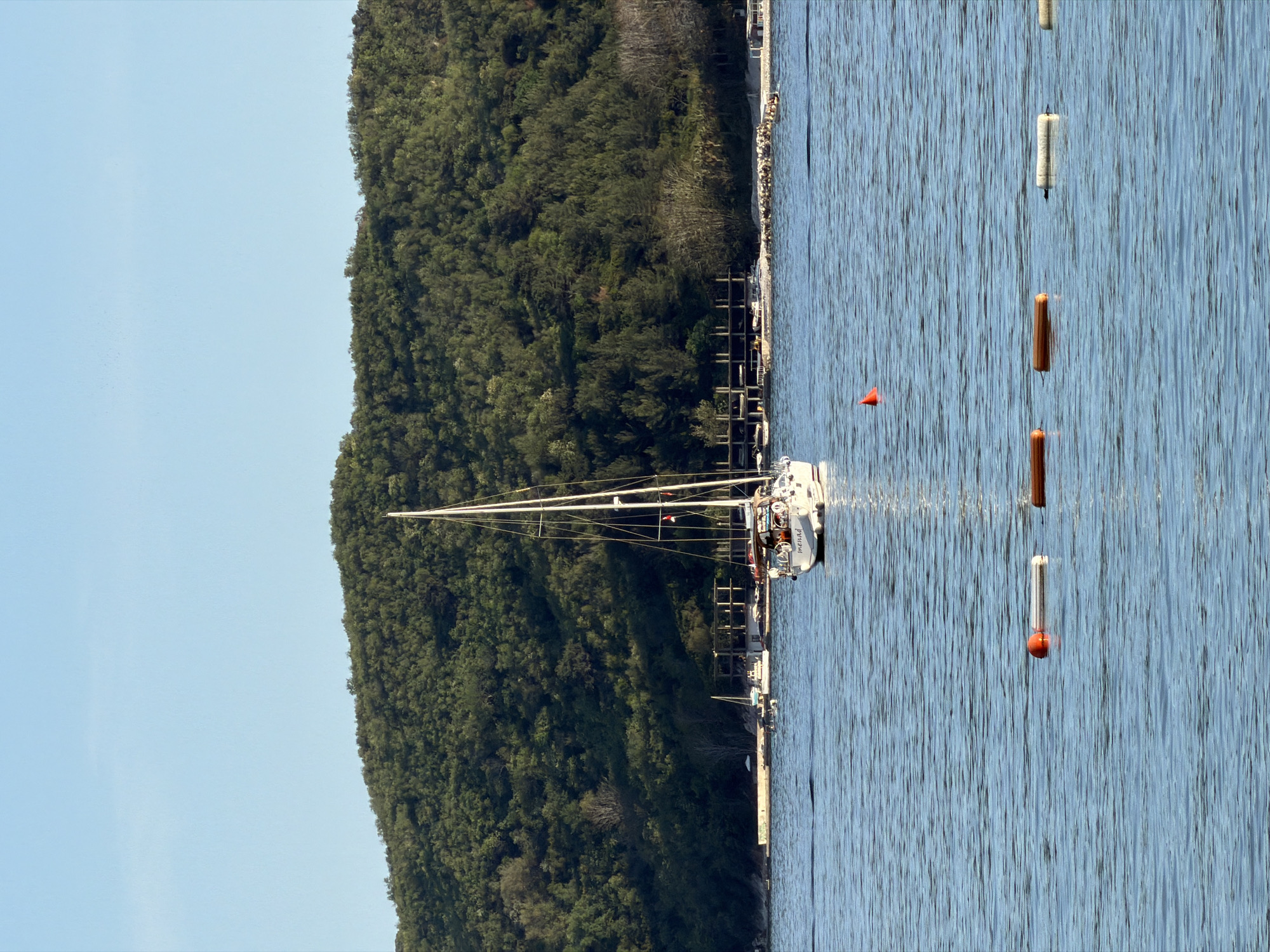 The image, oriented horizontally, captures a serene coastal scene in Budva, Montenegro, on a clear, sunny day. The dominant subjects are a large, white monohull sailboat with a single mast, calm blue water, and a densely forested hillside forming the backdrop.
The sailboat is positioned towards the center-left of the frame, appearing to be moored or docked. Its mast and rigging extend upwards against the bright blue sky. On its stern, the name "menad" is visible in white lettering. The boat is situated near a long pier or dock that runs along the base of the hill, where several other, smaller boats and structures can be glimpsed in the distance.
The water, reflecting the clear sky, shows subtle ripples, indicating calm conditions. Several buoys and fenders are scattered across the water in the foreground and mid-ground. These include cylindrical white buoys, elongated brown/orange buoys, and one conical orange buoy. The deep green hillside, covered in thick vegetation, rises steeply behind the pier, filling the left side of the frame and creating a lush contrast with the blue sky and water. No people are distinctly visible, contributing to the peaceful atmosphere.