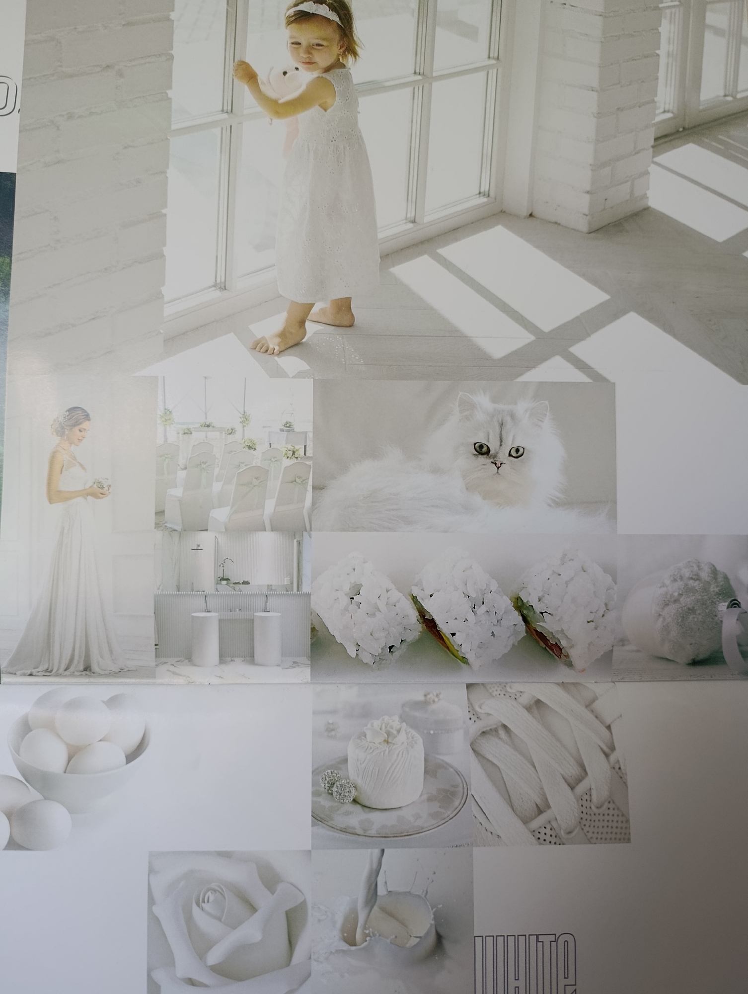 The image is a collage of photographs, predominantly featuring the color white. In the top left, a young girl in a white dress stands by a window, holding a white object. To her right, a white brick wall is visible. Below the girl, a bride in a white wedding dress stands holding a bouquet. In the center, a white Persian cat with green eyes looks at the camera. Below the cat are images of white sushi rolls. In the bottom left, a bowl of white eggs is depicted. To the right of the eggs, a white rose is shown. The lower right portion of the collage shows a close-up of white shoelaces and text that reads "WHITE" in a stylized font. Other images include a wedding ceremony setup with white chairs, a modern white bathroom with two pedestal sinks, and a white cake with silver accents. The overall impression is one of purity, elegance, and simplicity, all conveyed through the consistent use of white. The collage is set against a plain white background, suggesting a studio or controlled photographic environment. The location of the city is Unknown, Unknown.