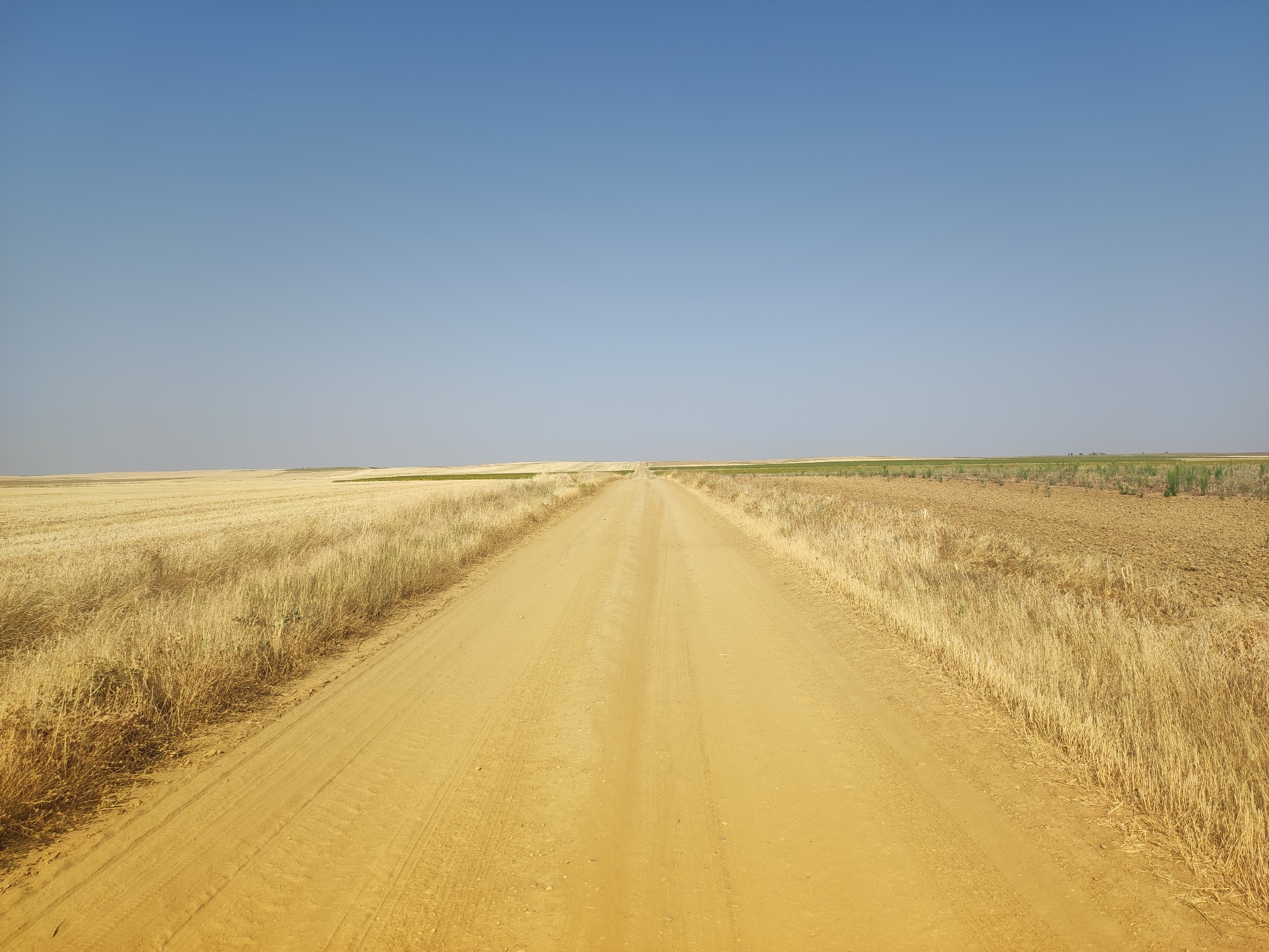 A dirt road stretches into the distance, flanked by dry, golden fields on either side under a clear, pale blue sky. The road appears to be a single lane with tire tracks visible in the sandy soil. The fields on the left are densely packed with dried stalks, possibly harvested wheat or barley, while the fields on the right show patches of tilled earth and some sparse green vegetation. The horizon is flat and unbroken, suggesting an open, rural landscape. The scene conveys a sense of dryness and a vast, empty expanse. The location is identified as Autillo de Campos, Spain.