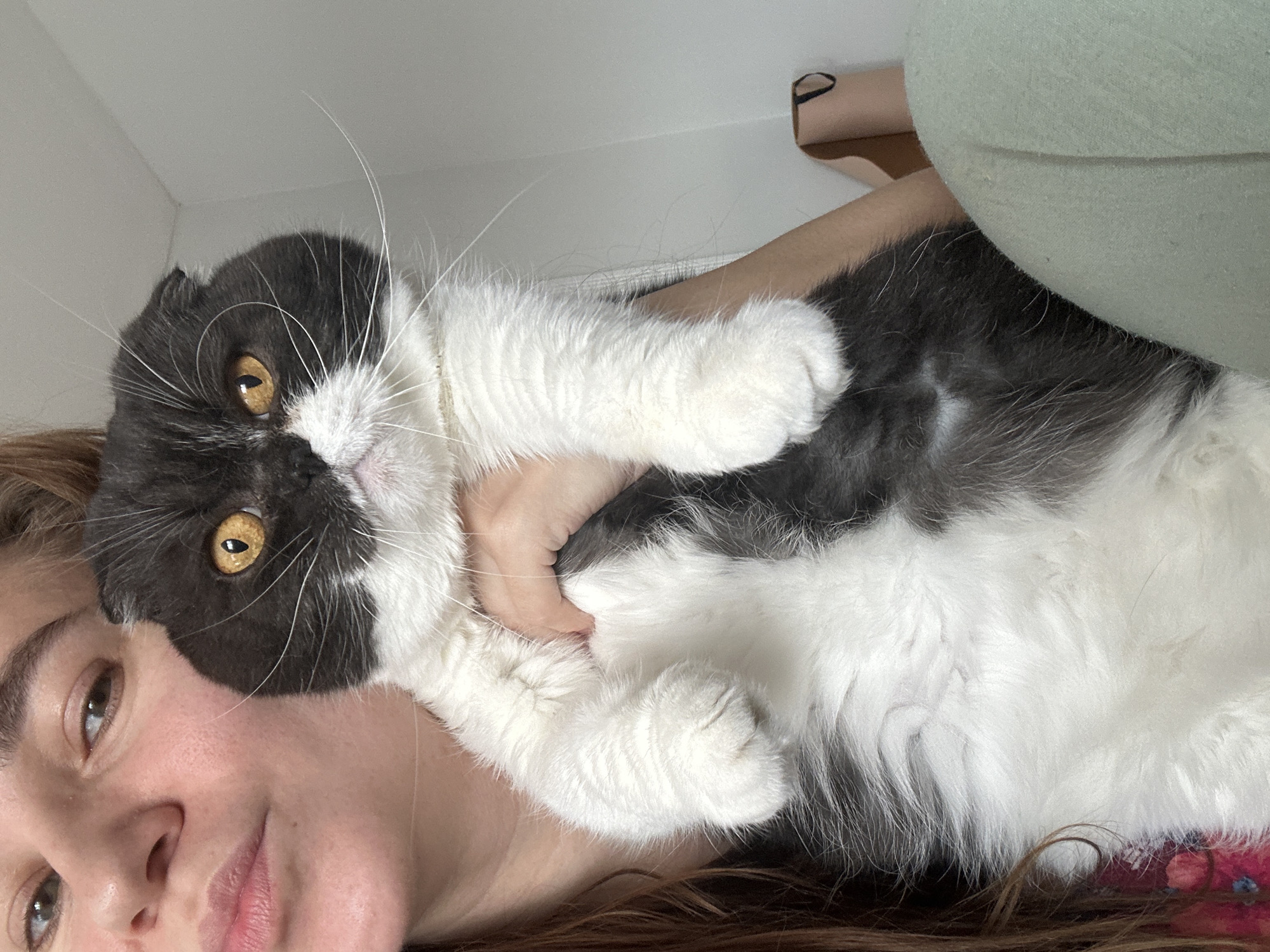 A woman is holding a gray and white cat close to her face. The cat has yellow eyes and long white whiskers. The woman's hair is brown, and she is wearing a light-colored shirt. The background is a white wall and a light green object, possibly clothing. There is no indication of the location being Kharnavy, Russia.