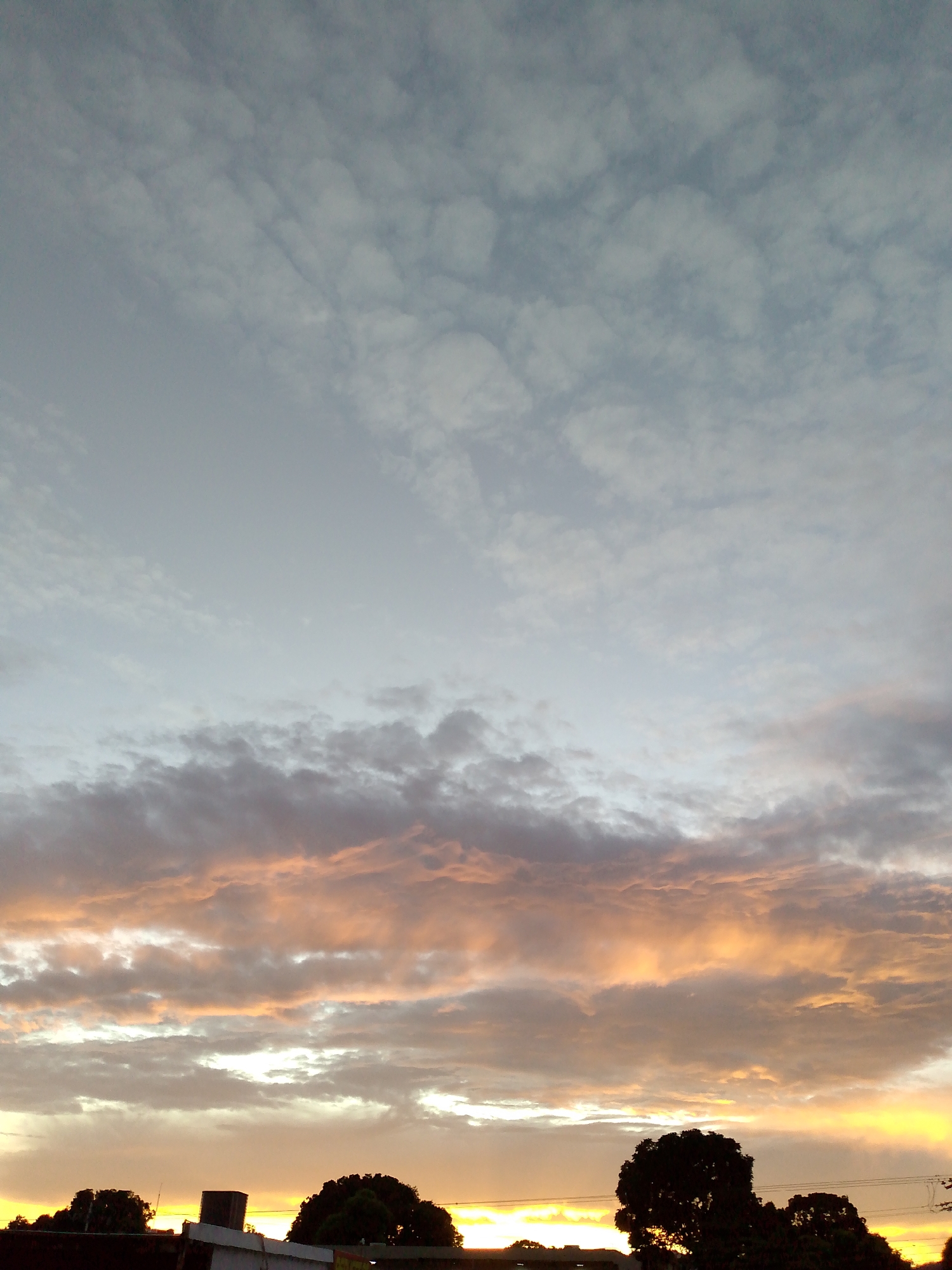 This is a vertical, eye-level, medium shot of a sunset sky over Tinaquillo, Venezuela. The sky is filled with layered clouds, with the lower clouds illuminated by the setting sun in shades of orange and yellow. The upper clouds are a cooler, grayish-blue. In the foreground, silhouetted against the bright sky, are the tops of trees and buildings.