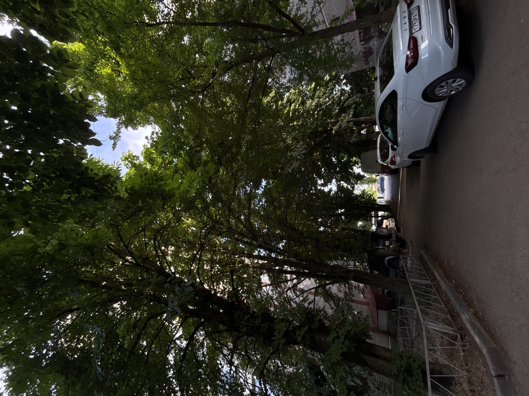 A tree-lined street in Krasnodar, Russia, with apartment buildings on the left and cars parked on the right. Lush green trees with dense foliage arch over the narrow asphalt road, dappling the scene with sunlight and shadow. The buildings appear to be residential, constructed with brick and featuring windows. Several vehicles are parked along the side of the road, including a white Lada sedan with a visible license plate that reads "T793PA 193," a white van, and darker SUVs. A metal fence runs along the edge of the sidewalk on the left. The sky is visible through gaps in the tree canopy, appearing partly cloudy and blue. The overall impression is that of a quiet, residential urban environment during the daytime.