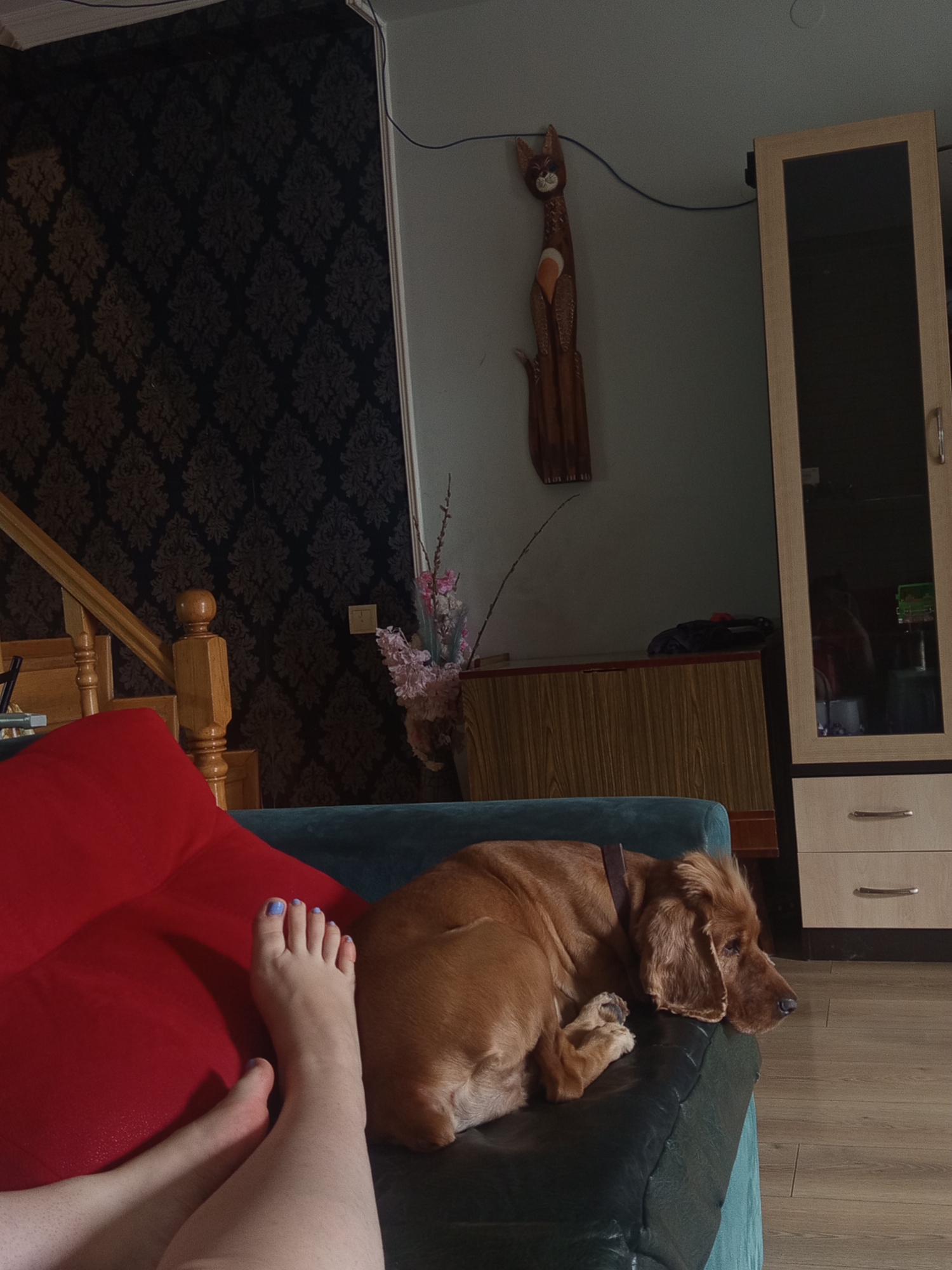 This is a low-angle, medium shot of a person's feet resting on a dark green sofa in what appears to be a residential setting. The feet are in the foreground, with the toes painted a light purple. A large, red cushion is partially visible to the left. To the right, a brown cocker spaniel is lying on the sofa, its head resting on the armrest and its eyes closed. The dog appears to be sleeping. In the background, a wooden cabinet with drawers is visible, as is a mirrored wardrobe. A dark, patterned wallpaper adorns the wall behind the sofa, and a wooden staircase with a railing is to the left of the frame. The scene is lit with ambient indoor lighting. There is no identifiable information to suggest the location is Tbilisi, Georgia.