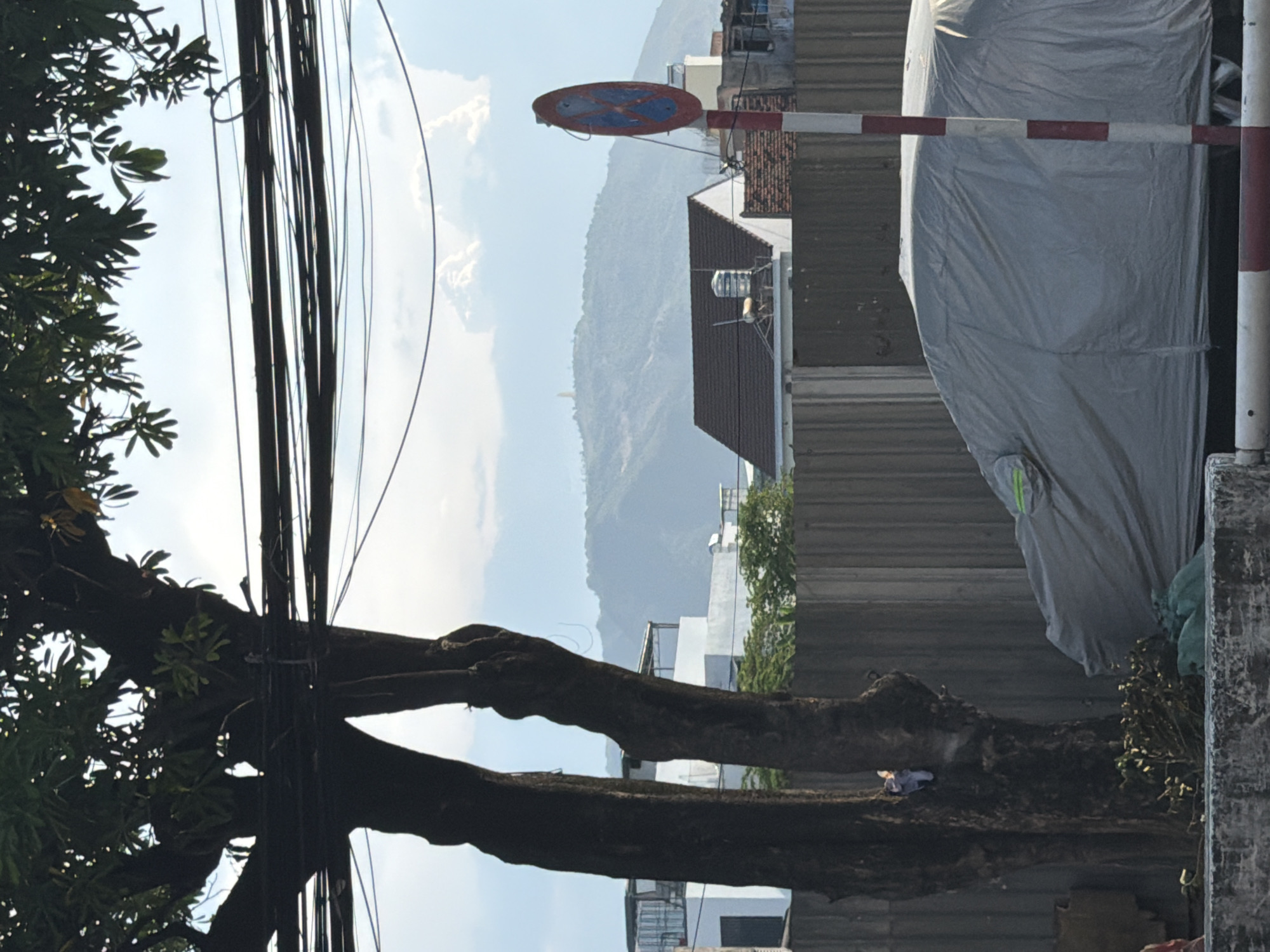A street view in Nha Trang Ward, Vietnam, shows a large tree with dark bark and green leaves in the foreground, its branches extending across a cluster of black electrical wires against a bright sky with scattered clouds. Behind the tree, a corrugated metal fence runs horizontally, partially obscuring structures. To the left of the fence are white buildings with flat roofs and some visible windows. To the right, a portion of a building with a dark tiled roof and a water tank on its roof is visible. In front of the fence, a car is covered with a large, light grey tarp. A red and white striped pole with a round, red and blue sign is also present in the foreground on the right. In the distance, a hazy mountain range under a bright sky is visible, with a faint structure on its peak. The overall scene suggests an urban environment with elements of nature and infrastructure.
