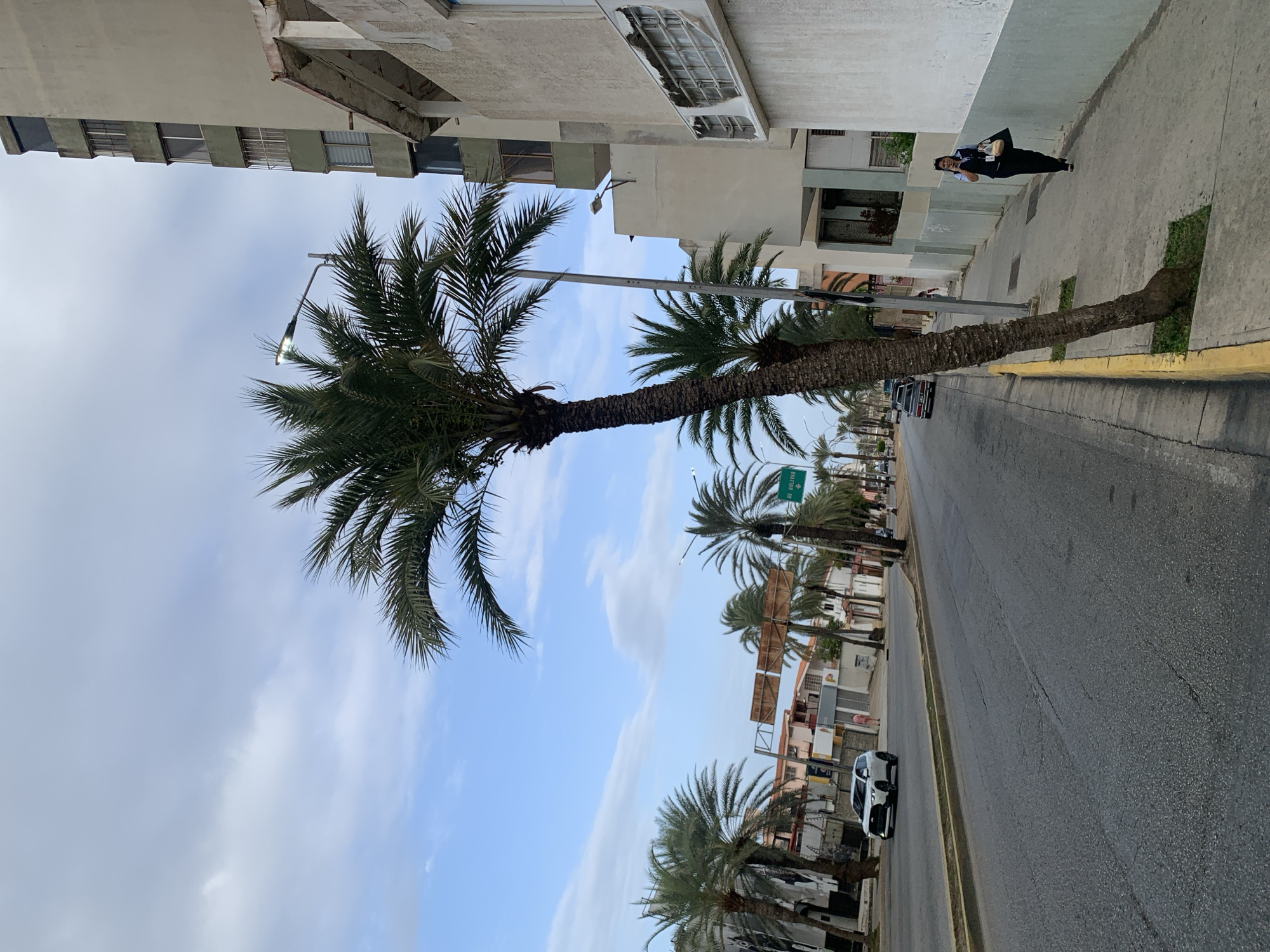 This media file captures an urban street scene in Porlamar, Venezuela, depicted as if correctly oriented vertically. The scene is set during daytime under a bright sky with scattered clouds.
The left side of the image is characterized by a series of tall palm trees lining the street, with a large, prominent palm tree in the immediate foreground. On the right side, there is a row of multi-story buildings, which appear somewhat weathered, featuring various windows and some visible exposed structural elements or empty frames.
A paved asphalt road occupies the lower portion of the image, stretching into the distance. A distinct yellow line marks the curb alongside a concrete sidewalk. Further down the street on the right, a white car is parked, and additional vehicles are faintly visible in the background. Streetlights are mounted on poles strategically placed along the thoroughfare.
On the sidewalk to the right, a woman is visible, either standing or walking. She is dressed in a dark uniform, seemingly consisting of dark trousers, a white shirt, and a dark vest or jacket, and appears to be holding an object in her arm.
In the mid-ground, a green street sign is partially obscured but clearly displays the text "AV BOLIVAR." The overall atmosphere is calm, portraying a typical urban environment.