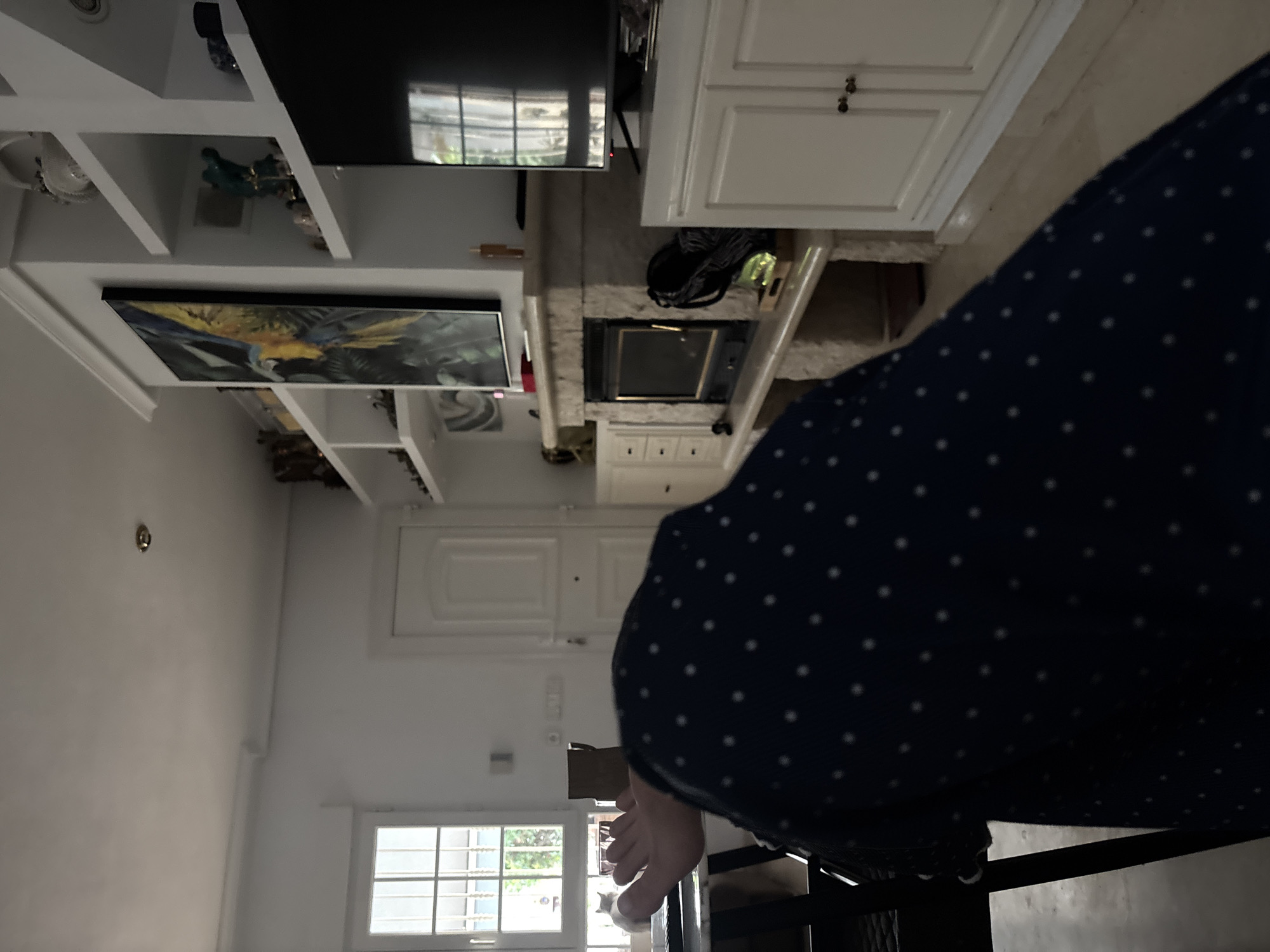 The image depicts an indoor scene, possibly a living room. A person's arm and leg, covered in a dark blue fabric with white polka dots, are prominently in the foreground, obscuring much of the view. To the left, a window with white-framed panes is visible, showing greenery outside. A white cat is perched on a table near the window.
In the background, a white door stands closed. A fireplace with a stone surround and a black firebox is centrally located. Above the fireplace hangs a framed painting of a parrot. To the right of the fireplace, a black television is mounted on the wall. The room is furnished with white cabinets and shelves, some of which display decorative items.
The overall impression is a domestic setting, likely a home in Orihuela, Spain, characterized by its bright, airy feel due to the white walls and ample natural light from the window.