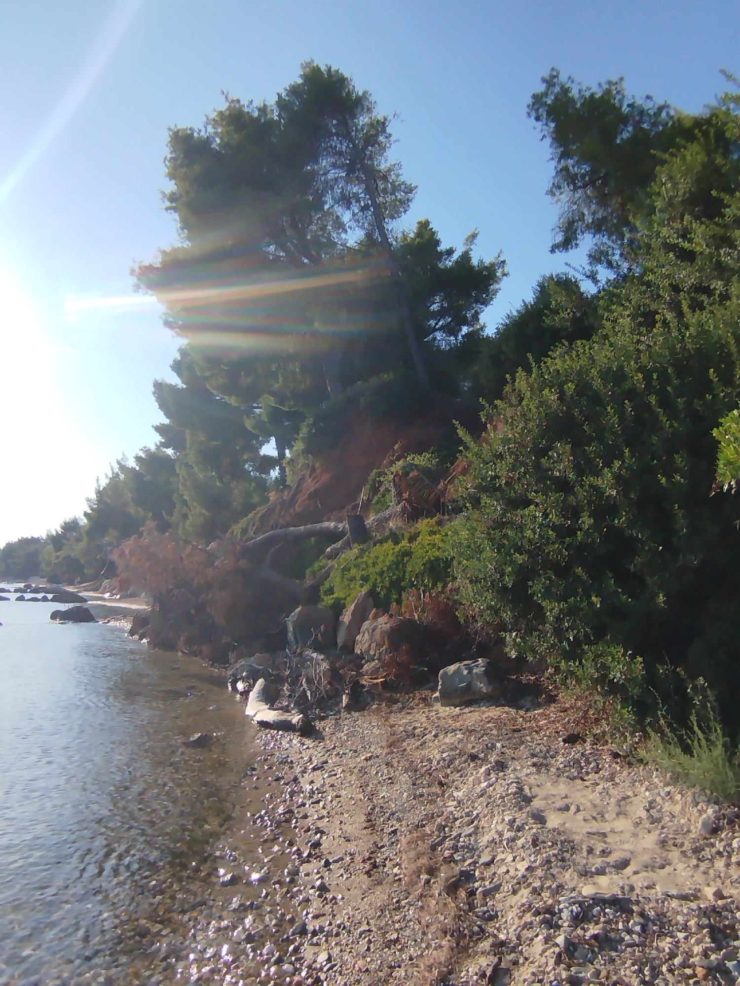 The image shows a rocky, tree-lined coastline under a clear blue sky. The sun is low in the sky, casting a bright glare and lens flare across the left side of the image, illuminating the water and the pebbles on the shore. The water is calm and reflects the sunlight. Dense green trees and shrubs grow on a sloped embankment, with some fallen branches and debris visible near the water's edge. The shore is composed of small stones and sand. The scene appears to be a natural coastal area, likely within the Sithonia Municipal Unit in Greece, given the characteristic Mediterranean vegetation and terrain. No people are visible in the frame.