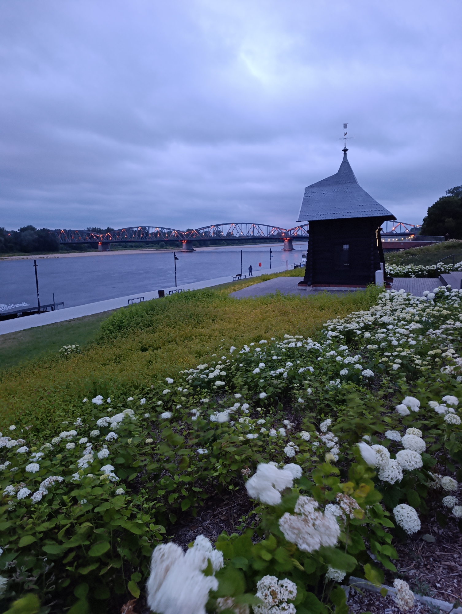 The image depicts a waterfront scene at dusk in Toruń, Poland, featuring the Vistula River and a bridge. In the foreground, a dense cluster of white hydrangea bushes in bloom lines a gently sloping grassy embankment. To the right, a dark, wooden structure with a steep, dark roof and a weather vane stands prominently. Beyond the embankment, a paved walkway runs parallel to the river, with a few benches and lampposts visible. A single figure is standing near the riverbank, looking towards the water. The Vistula River, a muted blue, flows calmly. Spanning the river in the background is a multi-arched metal bridge illuminated with orange lights. The sky is overcast with heavy clouds, contributing to the dim twilight atmosphere. Trees line the far bank of the river. The scene is set in the area of the Vistula River Boulevards in Toruń.