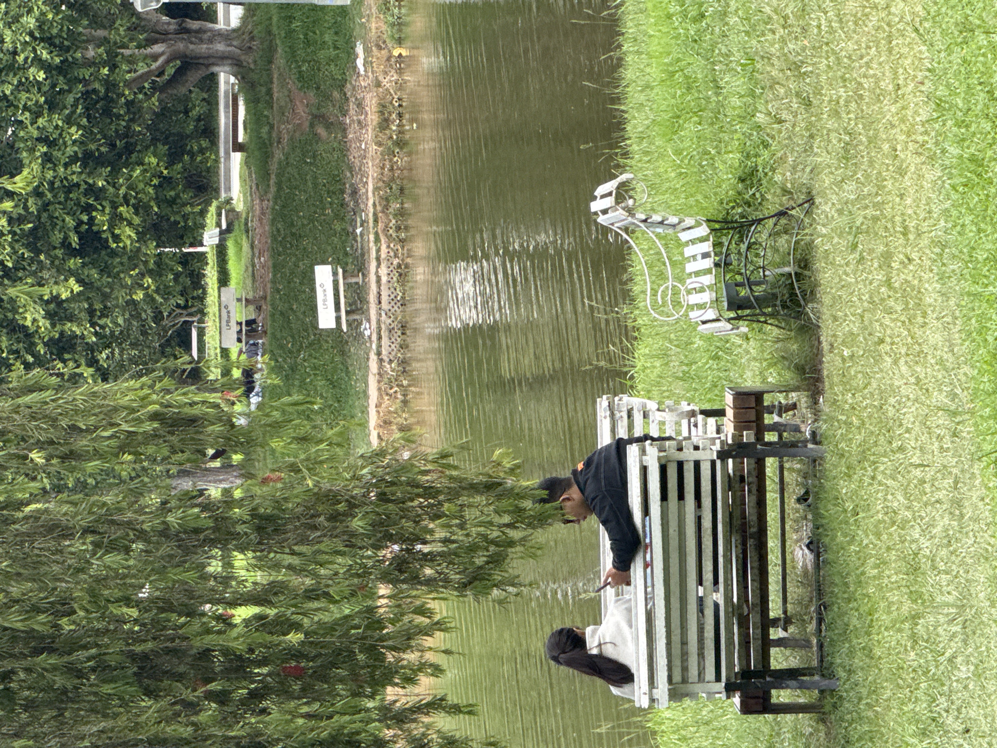 In Phường Xuân Hương, Đà Lạt, Vietnam, a serene park scene unfolds by a body of water. Two individuals, a woman with dark hair in a ponytail wearing a white jacket and a man in a black jacket, are seated on a white slatted bench under the dappled shade of a large weeping willow tree. The man is holding a smartphone, appearing to show it to the woman. A second white slatted bench, this one with decorative wrought iron accents, sits empty to the right of the couple. The park features lush green grass, a calm, reflective body of water, and trees in the background. Another bench with "LPBank" signage is visible further back, near a road and more trees. The overall atmosphere is one of peaceful outdoor leisure.