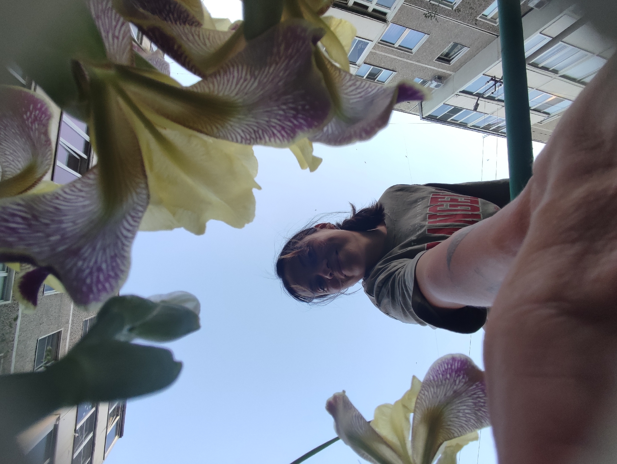 The image is a low-angle shot looking up towards a woman. In the foreground, there are several irises with yellow and purple petals. Behind the woman, there's a clear blue sky. Part of a multi-story building is visible, suggesting an urban location, likely a residential area in Chaikovsky, Russia. The woman is wearing a gray t-shirt with some red letters on it. Her hair is pulled back. Her arm is partially visible on the right side of the image. She is looking down into the camera.