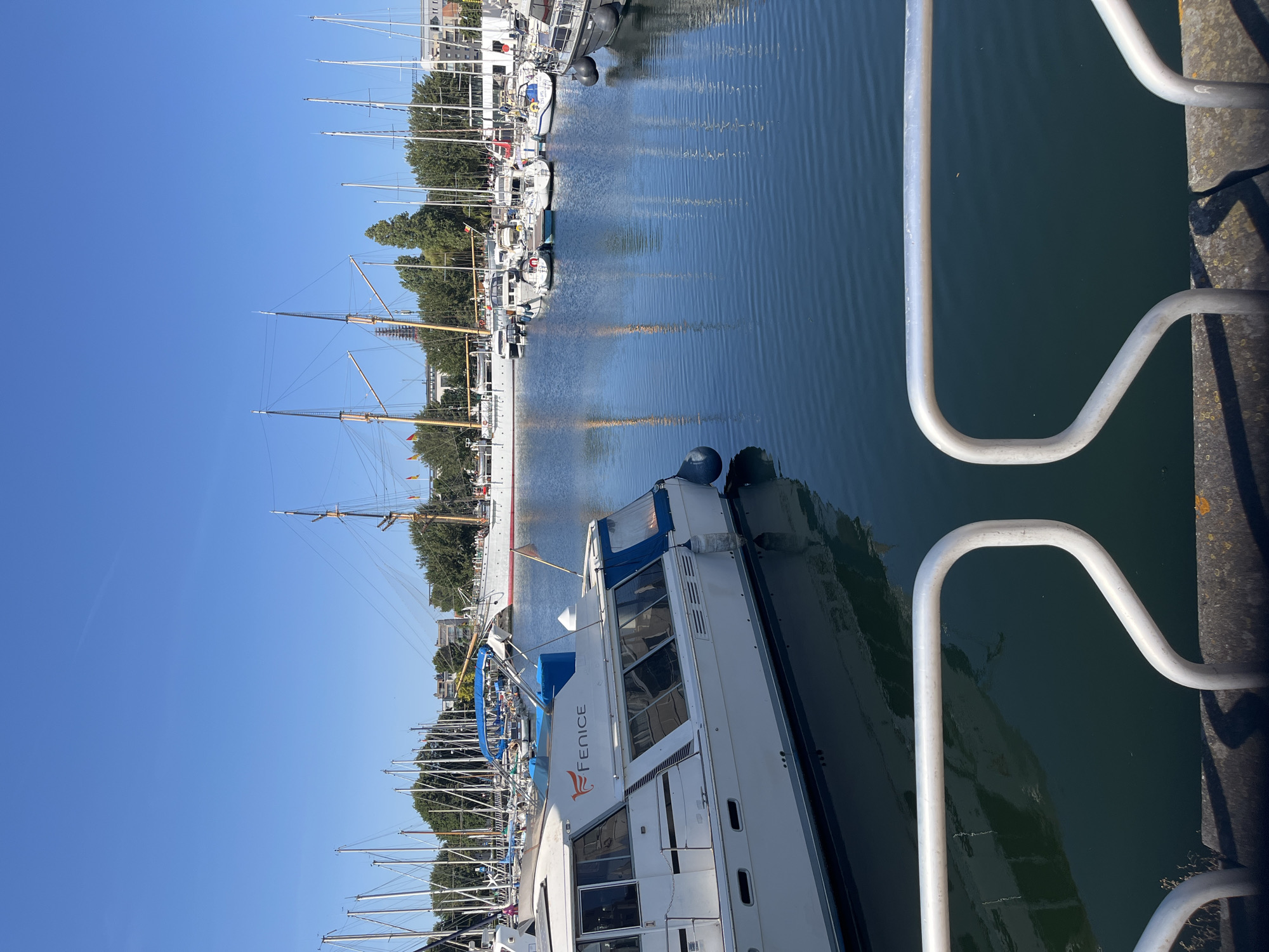 The image captures a sunny day at a harbor in Ostend, Belgium. In the foreground, a white railing with silver accents runs horizontally across the bottom of the frame. The railing is set against a concrete walkway. Beyond the railing, a deep blue body of water is visible, reflecting the clear blue sky and the surrounding boats.
Dominating the left side of the image is a white motor yacht with the name "FENICE" prominently displayed in orange lettering on its side. The yacht has several windows and a blue awning covering part of its upper deck. Moored alongside it, and further out in the harbor, are numerous other vessels, ranging from smaller sailboats with tall masts to larger ships.
In the background, a prominent tall ship with multiple masts stands out. Behind the ships and boats, a line of trees and buildings forms the cityscape of Ostend. The overall scene is one of a tranquil and active marina on a bright, clear day.