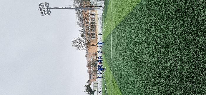 The image captures an outdoor artificial turf football pitch located in Pavlovsk, Russia, under an overcast grey sky. Approximately 15 to 20 individuals, primarily wearing blue and white athletic uniforms, are distributed across the mid-ground of the field, engaged in what appears to be a sports training session or match. The foreground consists of the green artificial turf with discernible white line markings. In the background, beyond a snow-covered perimeter, a series of multi-story buildings, characteristic of older architecture, are visible. Bare deciduous trees and some evergreen foliage dot the landscape between the field and the buildings. A prominent tall metal floodlight tower, equipped with multiple light fixtures, stands on the right side of the frame, extending upwards into the sky. Snow accumulation is present on the ground beyond the pitch and lightly on building rooftops, indicating winter conditions.