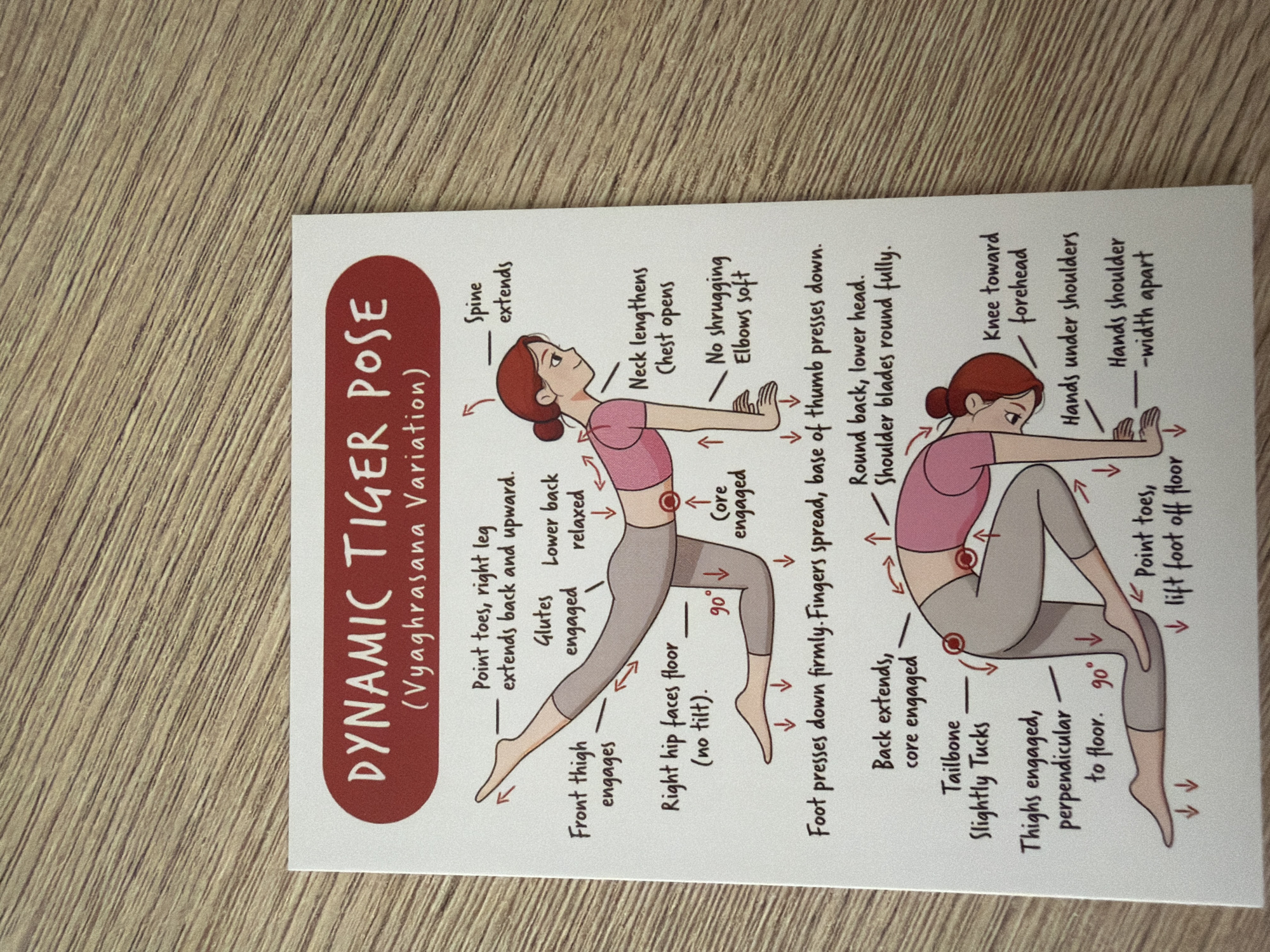 The image is a diagram illustrating the "Dynamic Tiger Pose (Vyaghrasana Variation)" from a yoga guide. The diagram features an illustration of a woman performing the pose on her hands and knees, with descriptive labels pointing to various body parts and their alignment. The background of the diagram is white, and the illustration uses a limited color palette of beige, grey, pink, and red. The diagram is presented on a postcard-sized card, which is placed on a wooden surface. There is no depiction or mention of the city of Pazardzhik, Bulgaria, in the image or its accompanying text.