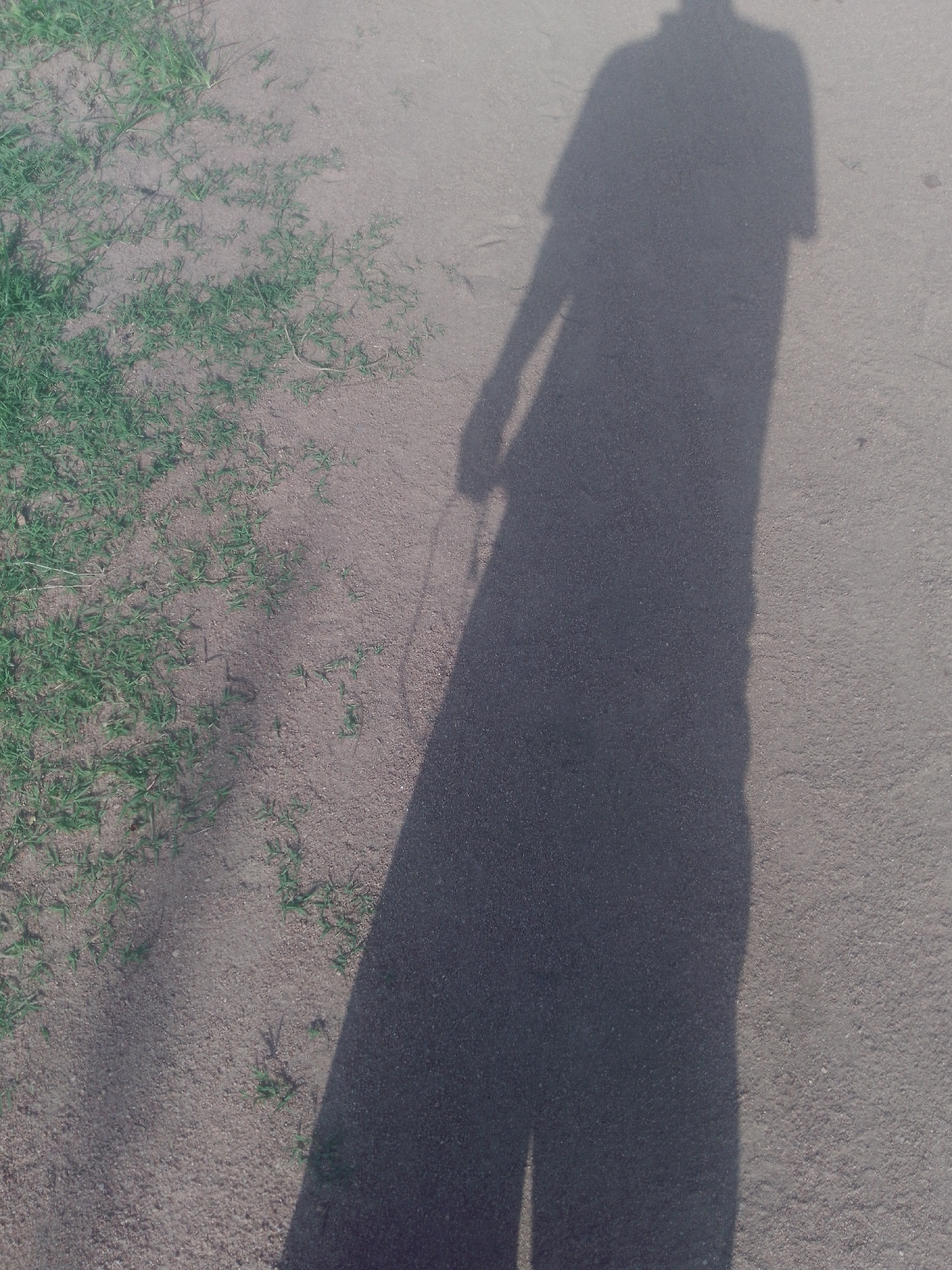 The image captures the long shadow of a person cast on a sandy ground with sparse green grass. The shadow indicates the person is standing and facing away from the sun, suggesting it is either morning or late afternoon. The ground appears to be a mixture of sand and small pebbles, with patches of dry grass growing sporadically. The overall scene is one of an outdoor setting, likely a casual environment. The shadow itself is dark and well-defined, emphasizing the intensity of the sunlight. There are no visible objects or text in the image that would provide further clues about the specific activity or location, other than the general context of Jalingo, Nigeria. The image appears to be taken at ground level, looking upwards towards the casting of the shadow.