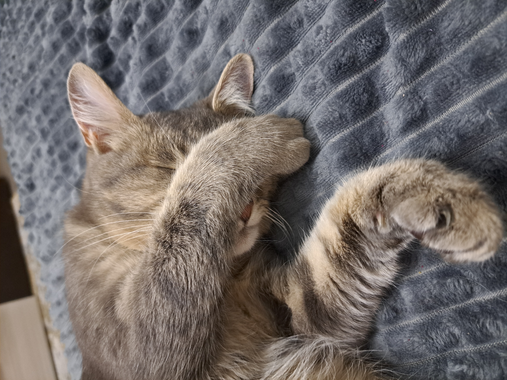 An indoor, close-up shot captures a gray tabby cat sleeping on a dark gray textured blanket. The cat is curled on its side, with its face partially obscured by one of its paws. Its fur is a mix of gray and light brown stripes. The blanket has a ribbed texture with faint vertical lines running through it. The background is out of focus, showing a hint of a wooden surface. The lighting is dim, suggesting an indoor environment. There are no people or other animals visible. The scene is tranquil, depicting a cat in a state of rest.