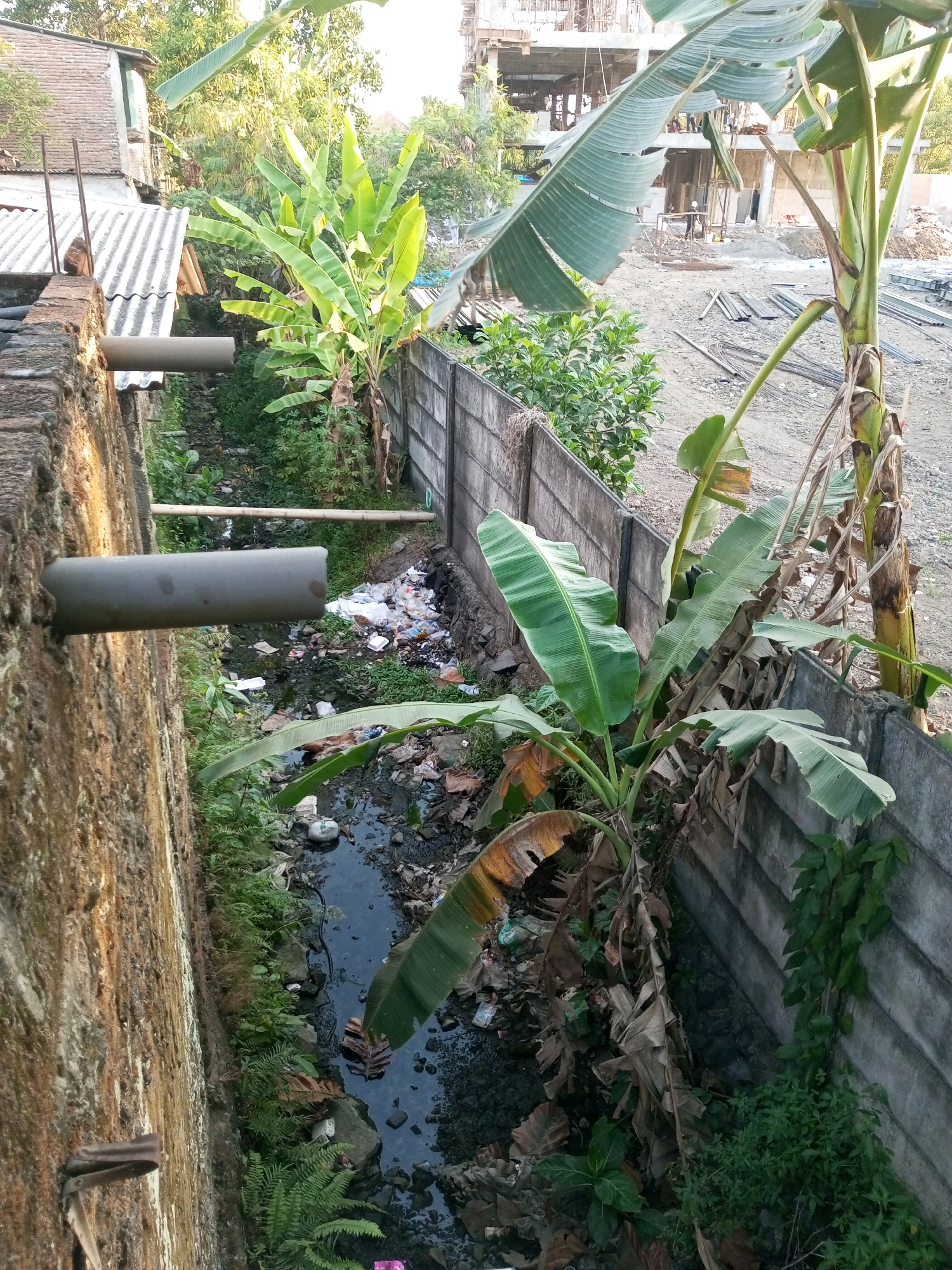 In Tegalgede, Indonesia, this image captures a narrow, man-made drainage channel filled with murky water and a significant amount of trash. The channel is bordered by rough, weathered concrete walls and a rough brick wall on the left. Banana trees with large green leaves and dead fronds grow alongside the channel, their presence contrasting with the urban detritus. On the left side, a segment of a corrugated metal roof structure is visible, attached to the brick wall. A large grey pipe protrudes horizontally from the brick wall into the channel. In the background, beyond the channel and concrete walls, a construction site is evident with concrete structures and steel rebar, suggesting ongoing development. No people are visible in the scene.