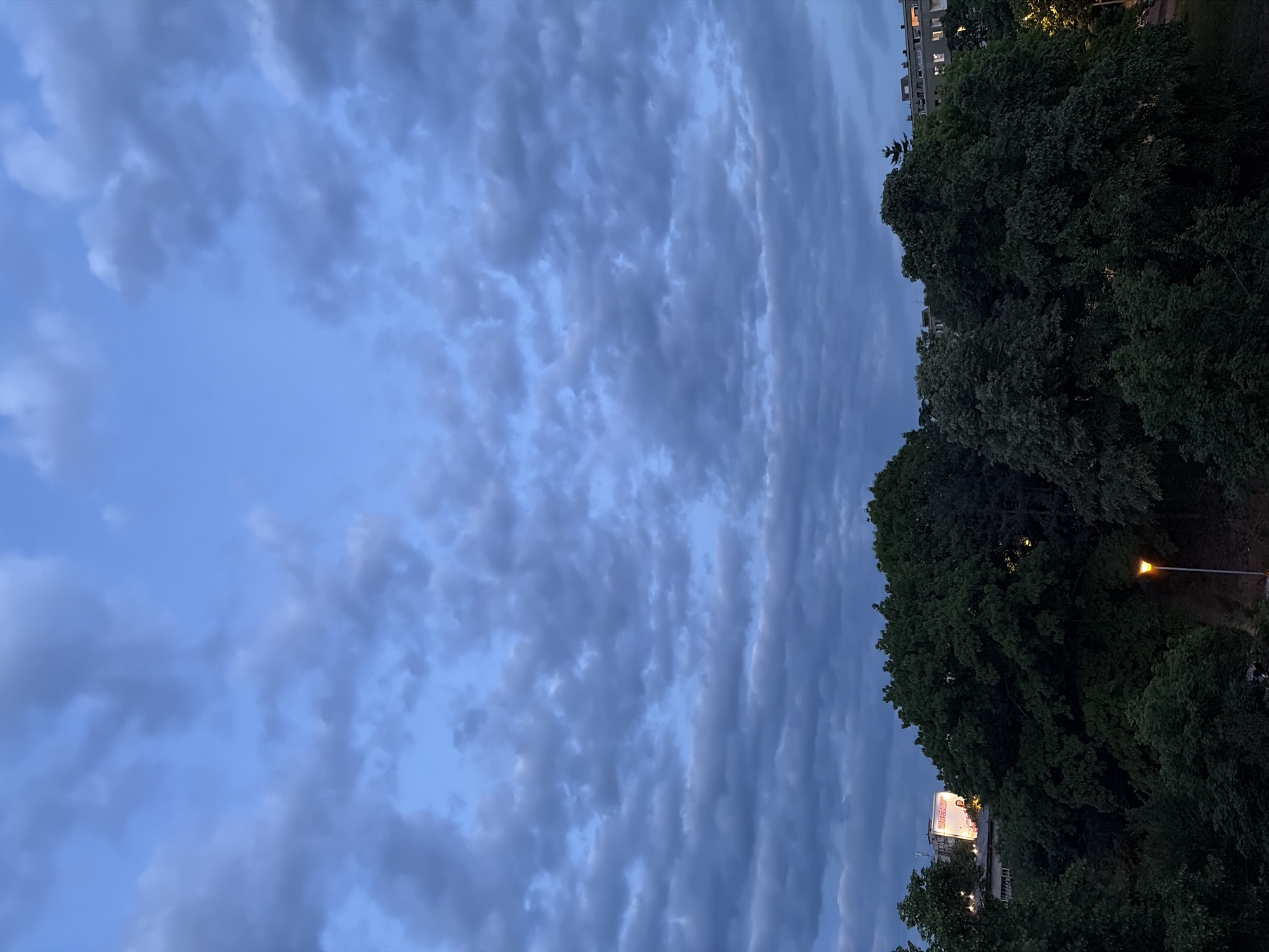The photograph shows a sky filled with altocumulus clouds over Vozdovac Urban Municipality, Serbia. The right side of the image features dense green trees, with a street lamp visible among the foliage. In the background, building rooftops and a billboard are illuminated. The sky appears to be at dusk or early evening.