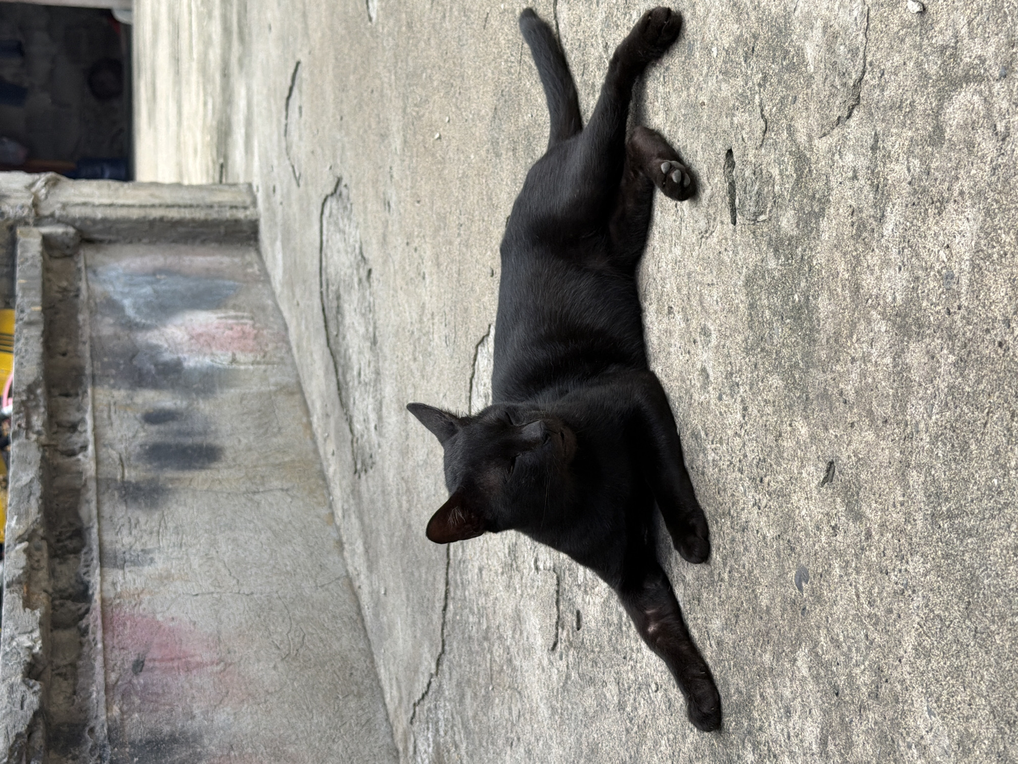 A black cat lies stretched out on a cracked concrete surface. The cat is facing to the left, with its eyes closed and its body relaxed. Its front left paw is extended forward, while its front right paw is tucked beneath its chest. Its back legs are splayed out behind it, with its tail curled to the right. In the background, a weathered concrete wall with graffiti is visible. The scene appears to be an outdoor urban environment, possibly in an alleyway or courtyard in Davao City, Philippines. The lighting suggests it is daytime, with diffused light casting soft shadows. No people are visible in the immediate vicinity.