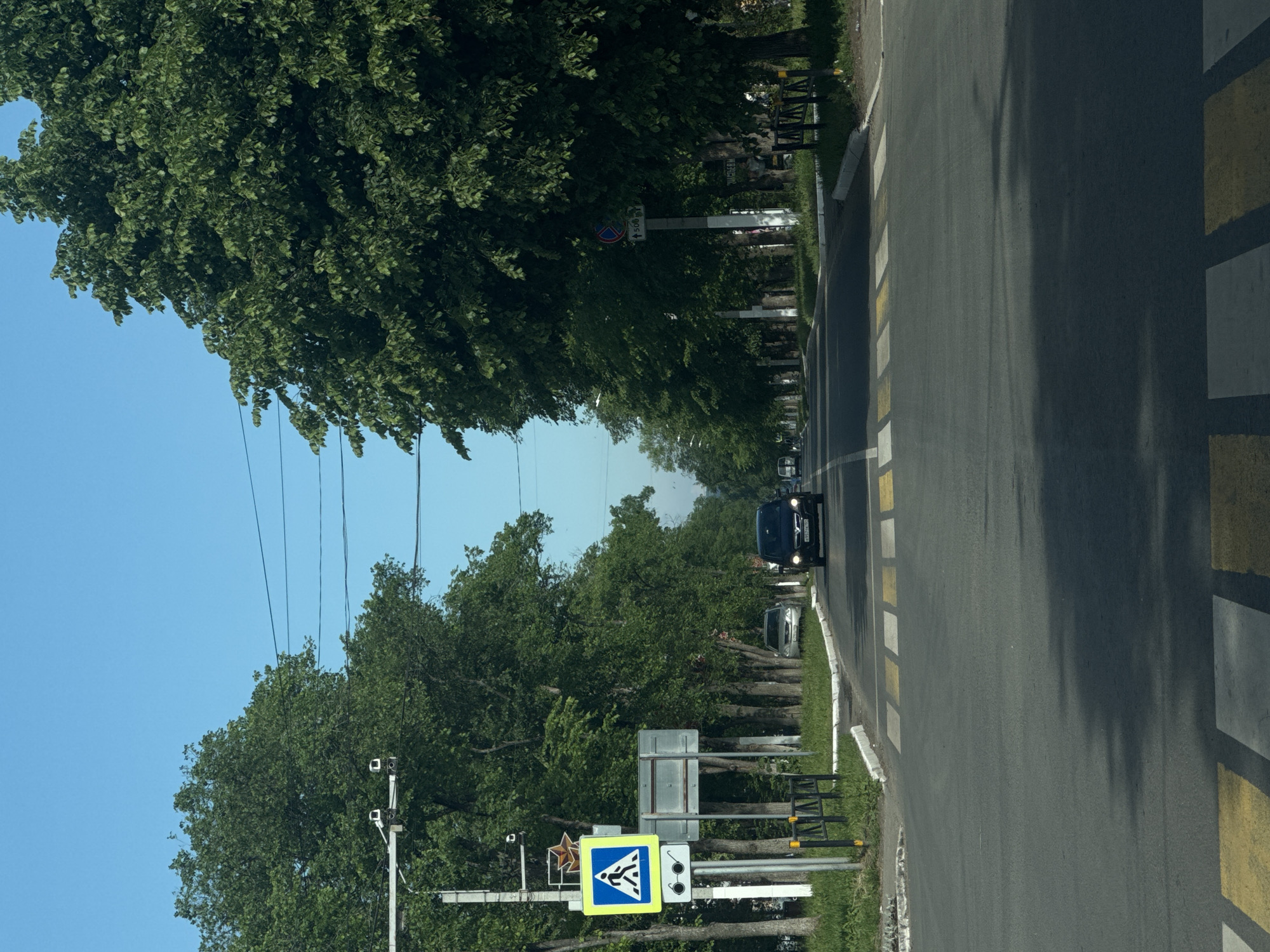 The image captures a tree-lined asphalt road in Chaikovsky, Russia, under a clear blue sky during bright daylight. The perspective is from a moving vehicle, looking forward along the road.
Lush green trees form dense canopies along both sides of the road, with some branches extending over the roadway. Utility poles with overhead wires are visible on the left. On the left side of the road, a curb separates the asphalt from a grassy verge.
Several road signs are prominent on the left. In the foreground, a blue square sign with a white pedestrian symbol indicates a pedestrian crossing. Below it, a smaller white sign shows two dark circles, possibly indicating a traffic monitoring device. Further down the road, a circular "no entry" sign (red border, white background, red diagonal line) is visible, with a supplementary white rectangular sign beneath it displaying "↑ 500 м" (500 meters ahead). Another sign, partially obscured by trees in the distance, appears to say "КОНЕЦ" (End).
The road itself has a solid white line along its left edge and dashed white lines marking the lane or shoulder. On the right side, a yellow and white striped zebra crossing is clearly visible, extending across the road. A black car with its headlights on is driving towards the viewer in the distance, and its license plate "А592ОР 799" is partially legible. Another silver car is parked further down on the right side of the road. On the left, a pole is equipped with what appear to be surveillance or traffic cameras.
The scene depicts a typical road environment, well-marked and maintained, with no particular activity beyond the ongoing traffic. The clear sky and fully leaved trees suggest a summer or late spring day.
