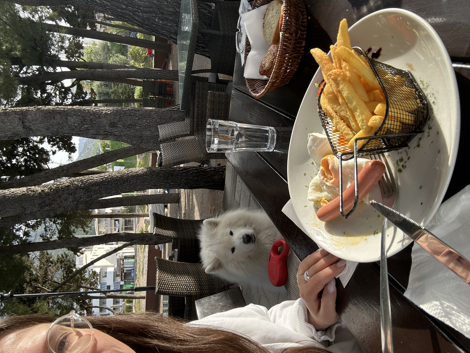 The image depicts a person seated at a table in an outdoor restaurant, likely in the city of Bar, Montenegro, as indicated by the backdrop of coastal buildings and trees. The table holds a plate of food consisting of French fries served in a wire basket, sausage, and a fried egg. Utensils (knife and fork), a glass, and a basket of bread are also visible on the table. A white Samoyed dog is sitting beside the table looking at the camera. The person holding the camera has brown hair and glasses, and is wearing a white top. Part of a red dog leash is visible by the dog. Trees surround the area, suggesting an outdoor setting.