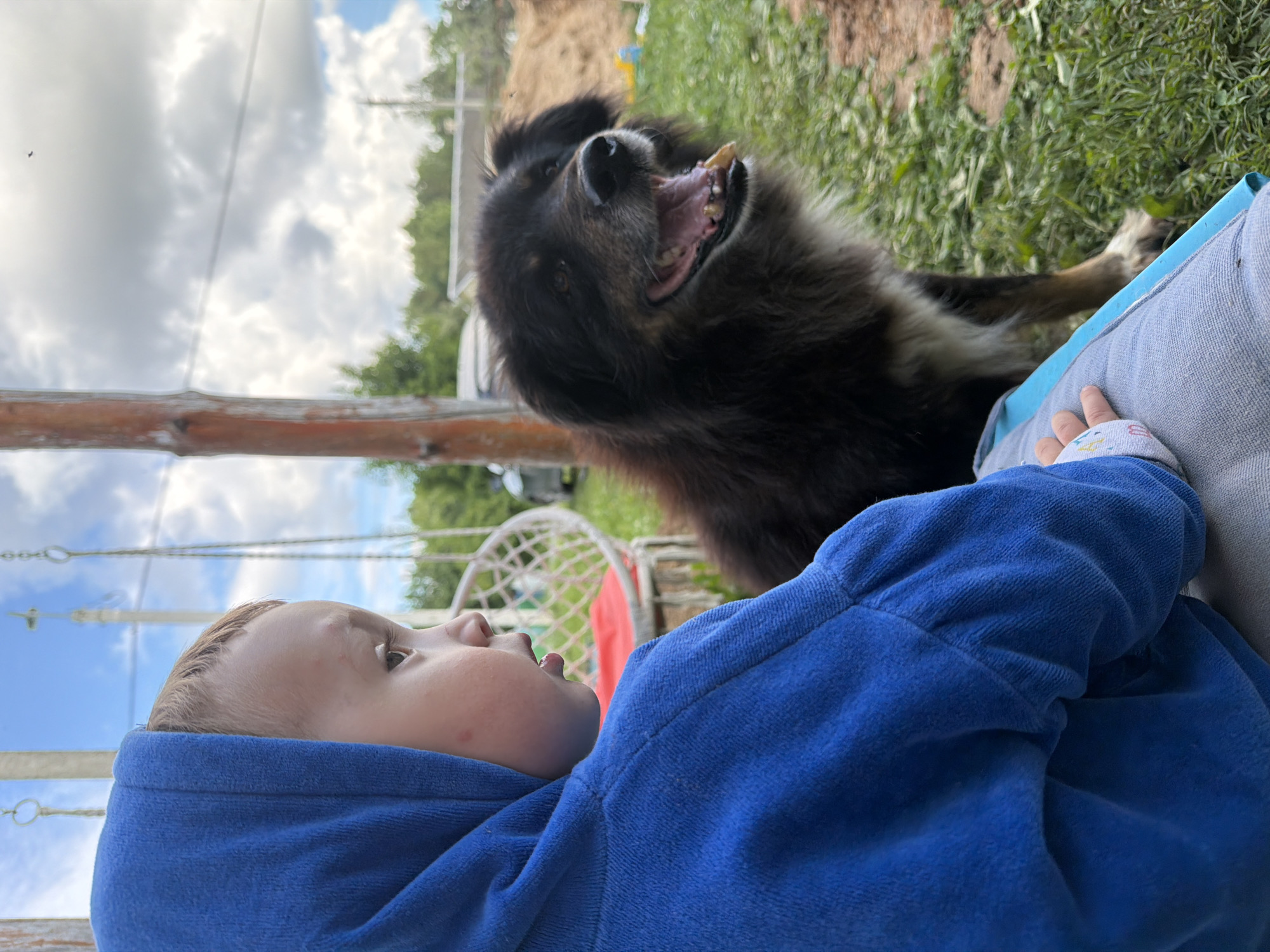 A young child in a blue hooded sweatshirt sits in profile, facing right, with a dog sitting next to them, also facing right and looking forward. The child has light brown hair and appears to be speaking or looking at something off-camera. The dog is dark brown with some white markings on its chest and has its mouth open, panting. The scene appears to be outdoors in a rural or semi-rural area. In the background, there is a wooden pole, a hanging swing chair with a red cushion, green grass, trees, a pile of dirt, and a cloudy sky. The image is cropped from the left, showing only the side of the child's face and the dog. The child is wearing a light blue hooded sweatshirt, and their hand is resting on their lap, which is covered by a gray cushion with a blue trim. The dog has a fluffy coat and its tongue is visible. The overall impression is one of a relaxed outdoor moment between a child and their pet.