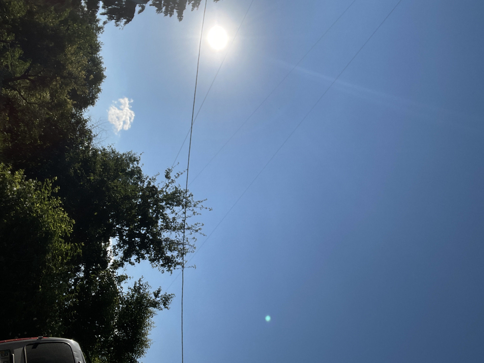 The image depicts a bright, sunny day with a clear blue sky. The sun is visible on the left side, casting a bright glare. There are several power lines stretching across the frame. In the lower portion of the image, lush green trees dominate the scene, with some foliage extending upwards towards the sky. A small, wispy white cloud is visible above the trees. On the far right, the rear of a dark-colored vehicle is partially visible. The scene appears to be outdoors, possibly in a suburban or semi-rural area, given the presence of trees and power lines.