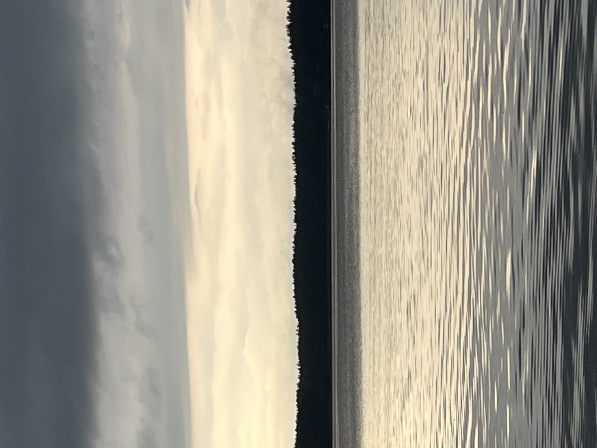 The image depicts a tranquil body of water in Radchenko, Russia, under an overcast sky. The foreground is dominated by the rippling surface of the lake, reflecting the subdued light of the sky in horizontal patterns. A dark, dense line of trees forms the distant shoreline, creating a stark silhouette against the lighter sky. The sky itself is layered with clouds, with darker, heavier clouds at the top and lighter, more diffused clouds lower down. There are no people or man-made objects visible in the scene, emphasizing a natural, undisturbed environment. The overall mood is one of peaceful solitude.