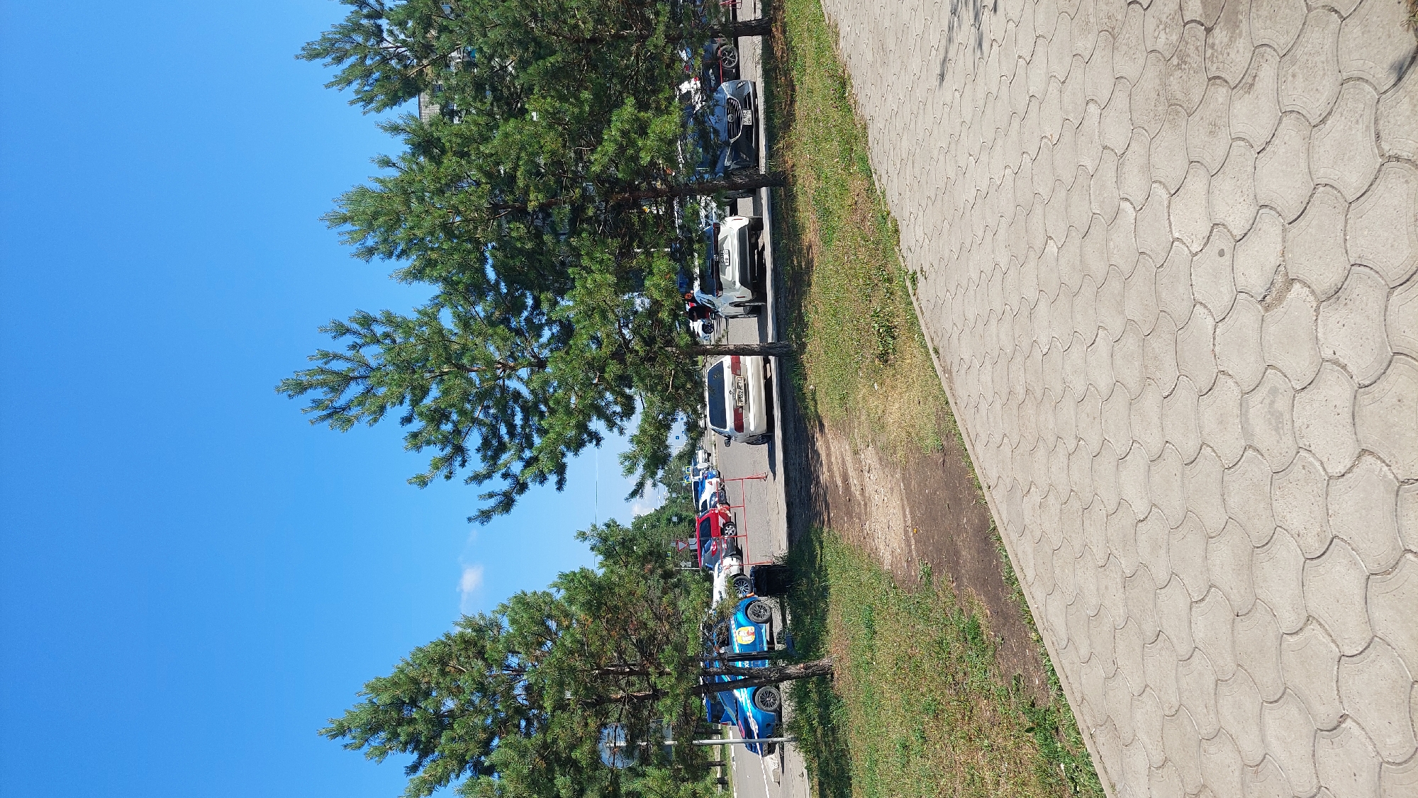 The image captures a parking lot in Komsomolsk-on-Amur, Russia, on a clear, sunny day. Several cars are parked in rows. Tall, green pine trees are interspersed throughout the scene, providing shade. In the foreground, a paved walkway made of interlocking concrete tiles stretches across the bottom of the frame. A dirt path runs alongside a grassy area between the walkway and the parking lot. The sky is a bright, cloudless blue. No people are visible in the image.