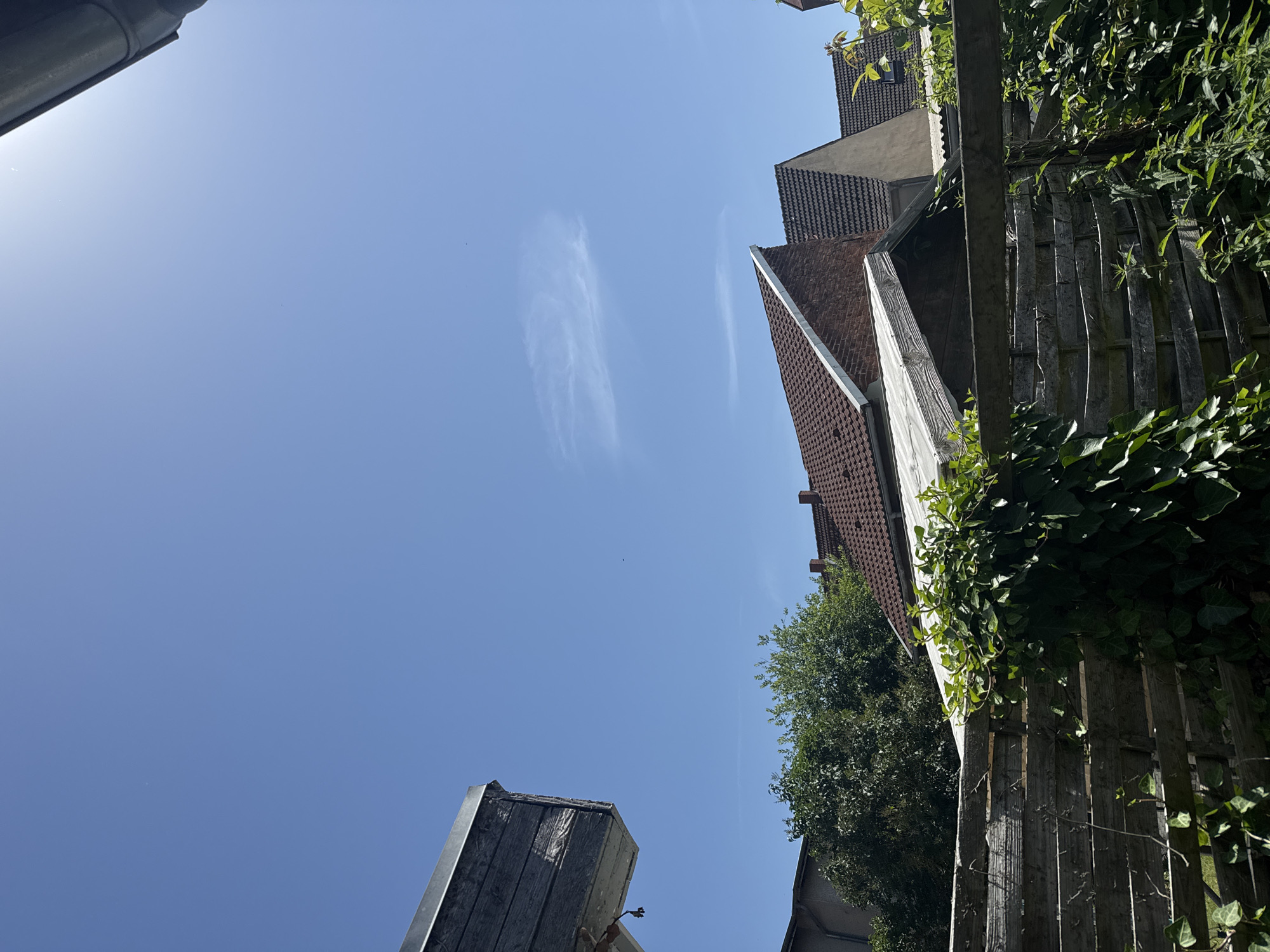 This media file depicts an upward-looking view of a residential setting on a bright, clear day. The dominant element is the vast expanse of a blue sky with a few wispy clouds. The sun is high in the sky, suggesting midday.
In the foreground, a weathered wooden fence with vertical planks is prominent, partially covered in green ivy. To the left of the fence, the side of a white structure with visible wooden paneling is seen. Further to the left and in the upper portion of the image, a dark, cylindrical object, possibly a gutter or pipe, is visible against the sky.
In the background, several residential buildings with tiled roofs are visible. The architecture suggests a European setting. A tall, leafy green tree is positioned between some of the buildings and the fence. The overall impression is one of a sunny day in a somewhat overgrown urban or suburban area. There is no text visible in the image.