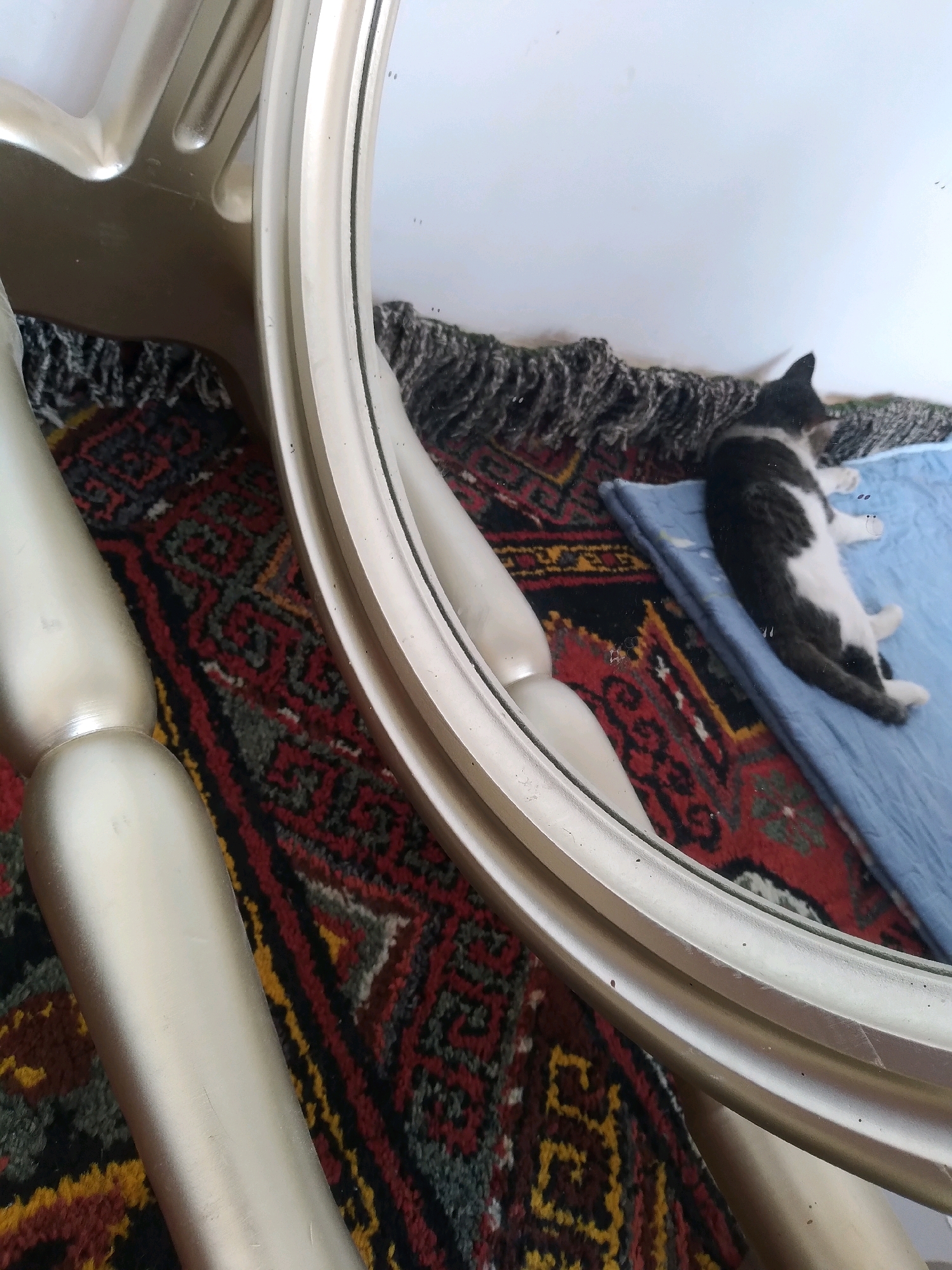 A black and white cat is resting on a blue mat on a patterned rug. The cat is lying on its side, with its head facing to the right. The rug is dark with red, yellow, and black geometric patterns. In the foreground, a part of a gold-colored ornate mirror frame is visible, along with a reflective surface showing a portion of the cat and the rug. The background is a white wall, possibly a room interior. There are no visible signs indicating the location in Baki, Uzbekistan.