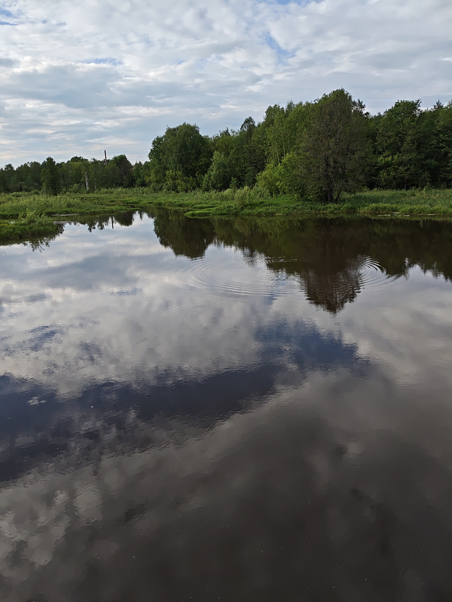 The image shows a body of water reflecting the sky and surrounding trees. The location is Боровково, Russia. The water is dark, and ripples are visible on the surface. The sky is cloudy. The trees are green and form a line along the water's edge. There is a tall structure, possibly a smokestack, in the distance.