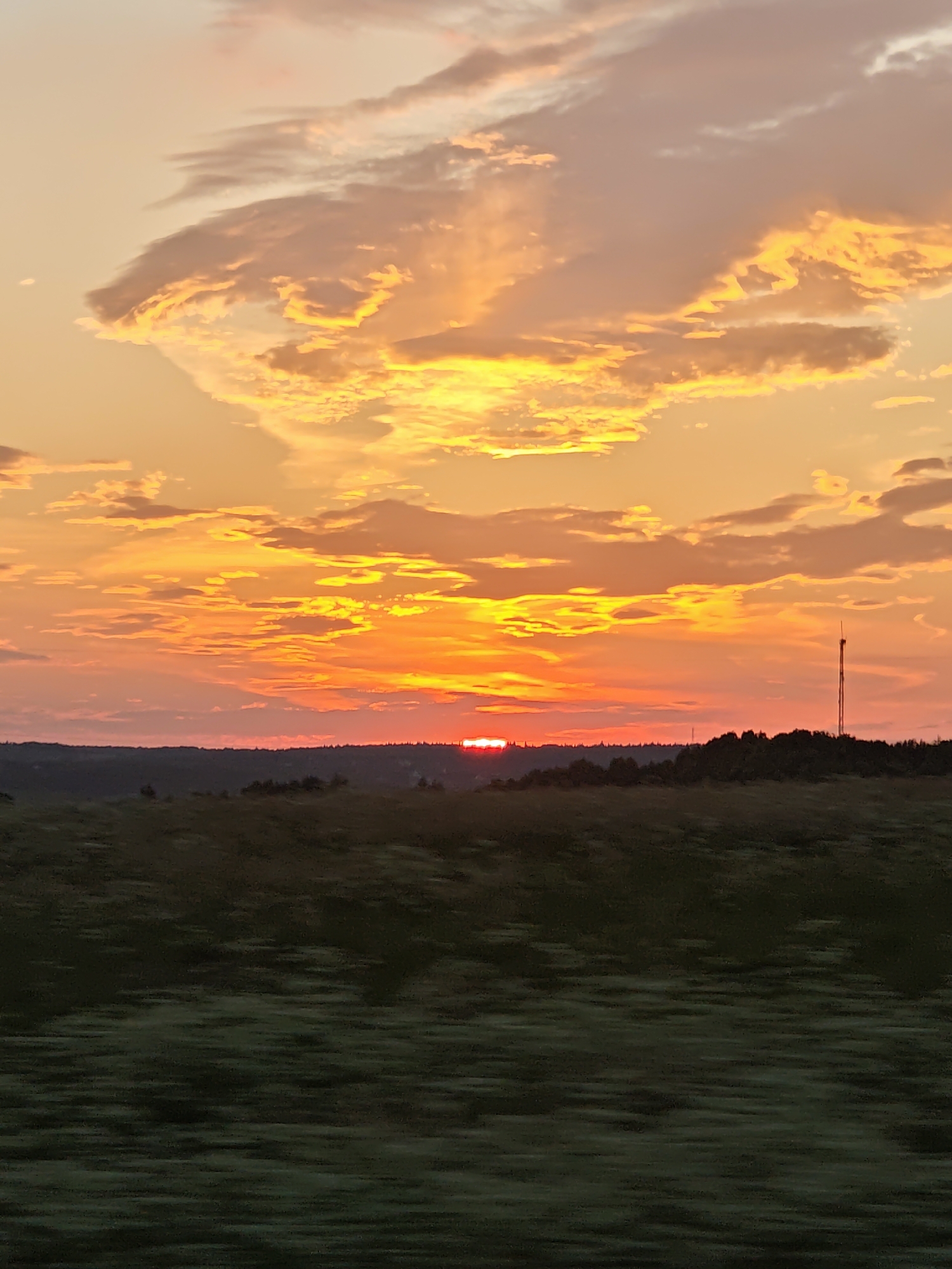 A sunset is depicted over a rural landscape. The sky is filled with dramatic clouds painted in hues of orange, yellow, and pink. The sun is a small, bright red sliver peeking just above a dark, tree-lined horizon. In the distance, a tall, slender radio tower stands against the vibrant sky. The foreground consists of a field of green vegetation, blurred by motion, suggesting the image was taken from a moving vehicle. The overall scene is tranquil and visually striking. The specific location in the city of Курово, Russia, is not discernible from the image alone.