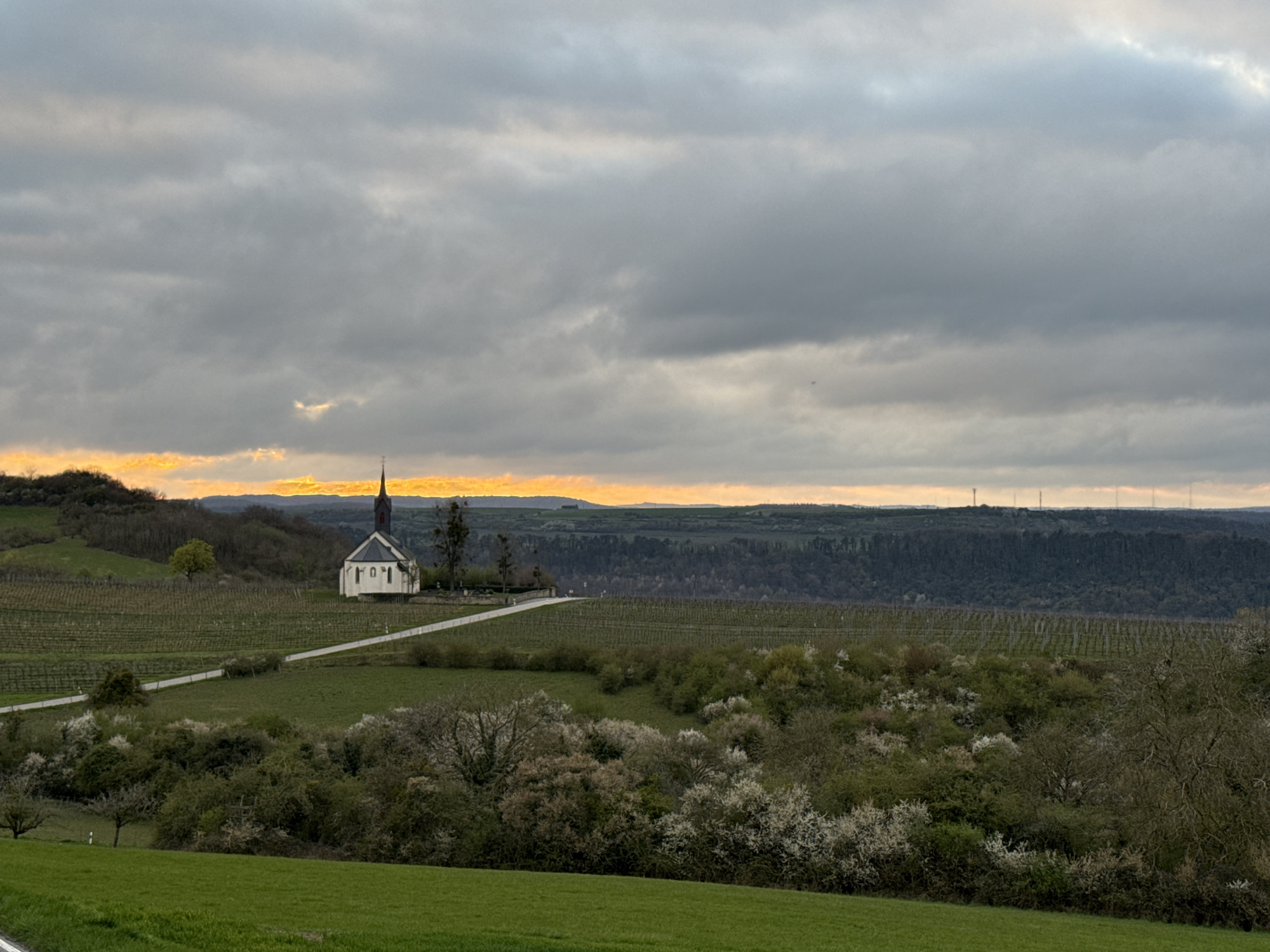 The image shows a landscape with a church, vineyards, trees, and a cloudy sky at sunset. A white church with a steeple sits on a hill surrounded by green grass and vineyards. A white path leads to the church. The foreground contains bushes and trees, some with white blossoms. In the distance, there is a dark forest line and hills silhouetted against a yellowish-orange sunset that breaks through the cloudy sky. The lower portion of the image has a field of green grass. In the far distance, there are what appear to be towers or masts. The location is Unknown, Unknown.