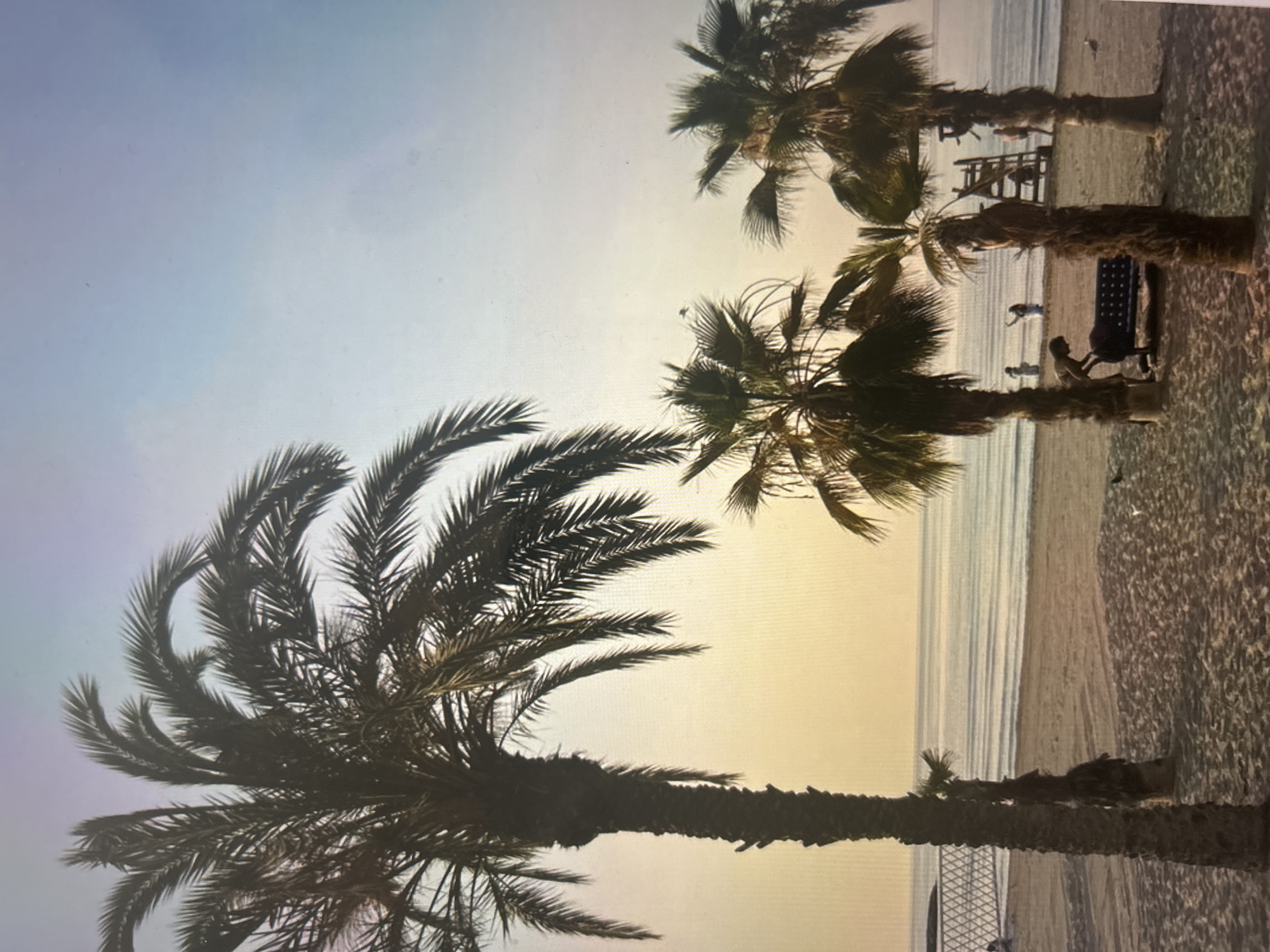 The image captures a serene beach scene, likely at dawn or dusk, characterized by soft, warm light and the prominent presence of palm trees. The perspective is from the sandy beach looking towards the ocean.
Several palm trees frame the view. A large palm tree with dark, dense fronds and a thick, textured trunk dominates the left side of the foreground. Further into the mid-ground and to the right, two additional palm trees stand closer to the water, their fronds silhouetted against the bright sky and their rough trunks visible.
The beach consists of light-colored sand, showing ripples and patterns. The ocean is visible on the right, with gentle waves breaking near the shore, reflecting the soft light. A few people are present on the beach. In the mid-ground, a person is seated on a low, blue object, possibly a bench or mat, positioned beneath one of the central palm trees. Another figure is seen standing closer to the water's edge. In the background, near the horizon, a traditional wooden lifeguard stand is visible, with two faint figures near it.
The sky displays a beautiful gradient, transitioning from a warm, pale yellow-orange near the horizon to a lighter, softer blue overhead, suggesting either early morning or late evening. The lighting creates a peaceful and tranquil atmosphere. There is no visible text in the image.