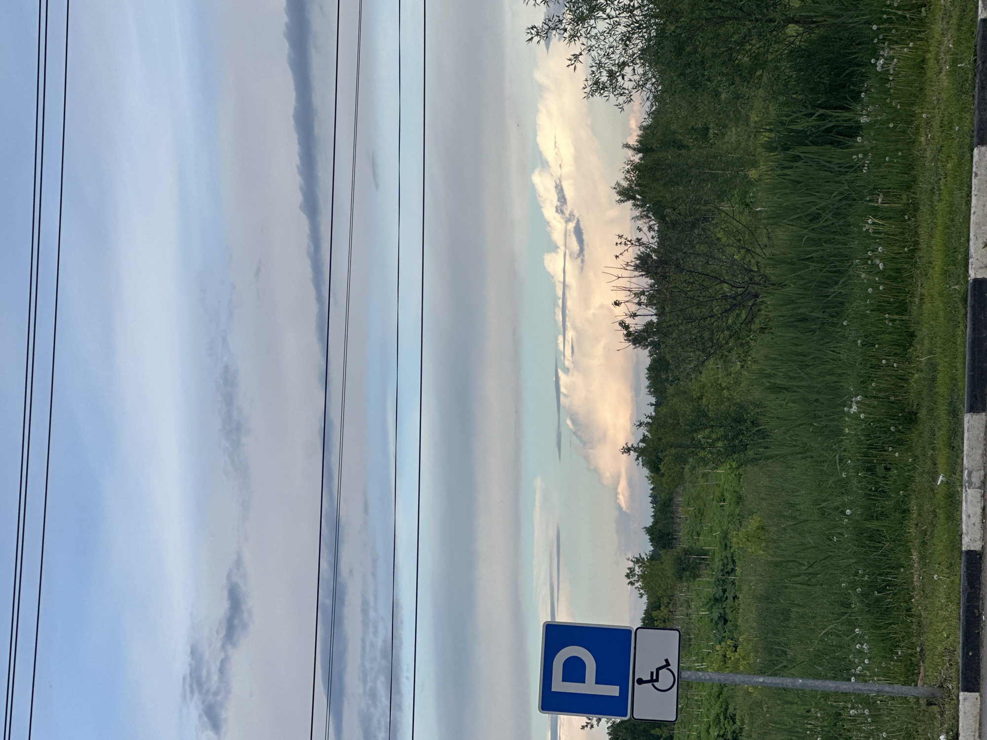 The scene appears to be a roadside view in or near Andreyevka, Russia. Dominating the foreground is a blue and white handicapped parking sign, indicating a designated parking space for individuals with disabilities. Adjacent to the sign is an area of tall grass and weeds, interspersed with small white flowers, bordering a row of trees and foliage.
In the background, the sky is overcast with a mix of light blue and gray clouds, bisected by several power lines running vertically across the frame. The overall impression is one of a somewhat rural roadside with basic infrastructure.