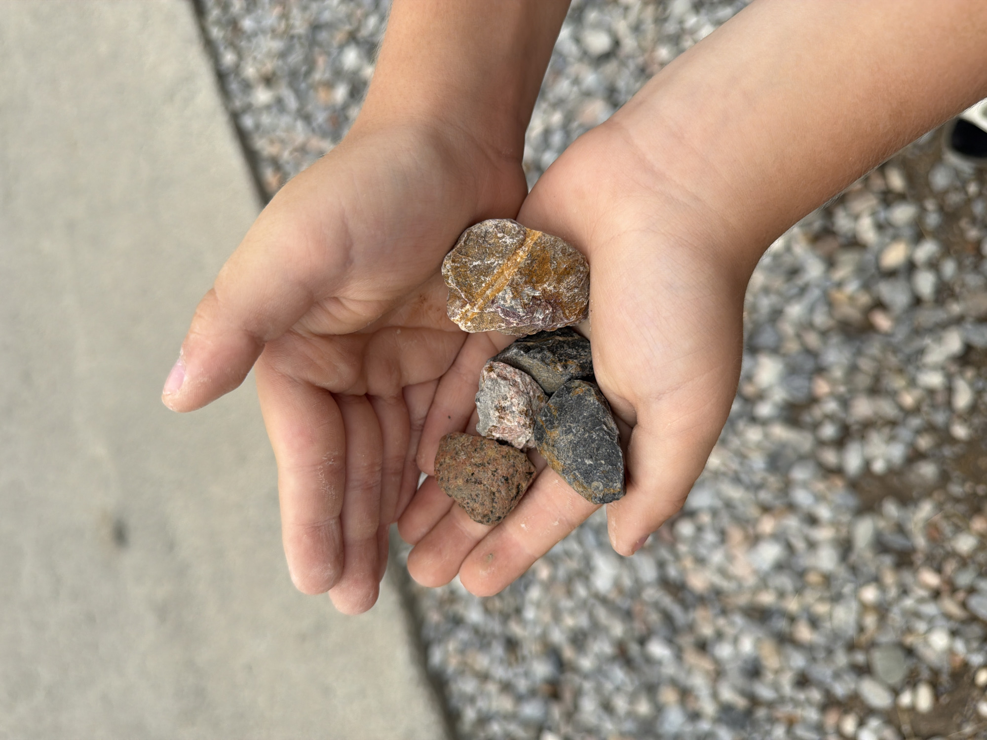 A pair of child's hands holds a small collection of rough, multicolored rocks. The rocks vary in color, with some appearing reddish-brown, gray, and black, and one has distinct yellow and purple veining. The hands are cupped, with one hand positioned slightly above the other, suggesting the rocks are being presented or examined. The background is out of focus, but appears to be an outdoor setting with a concrete surface and a scattering of similar small rocks. There is no indication of the city of Shymkent, Kazakhstan, or any specific location within it.