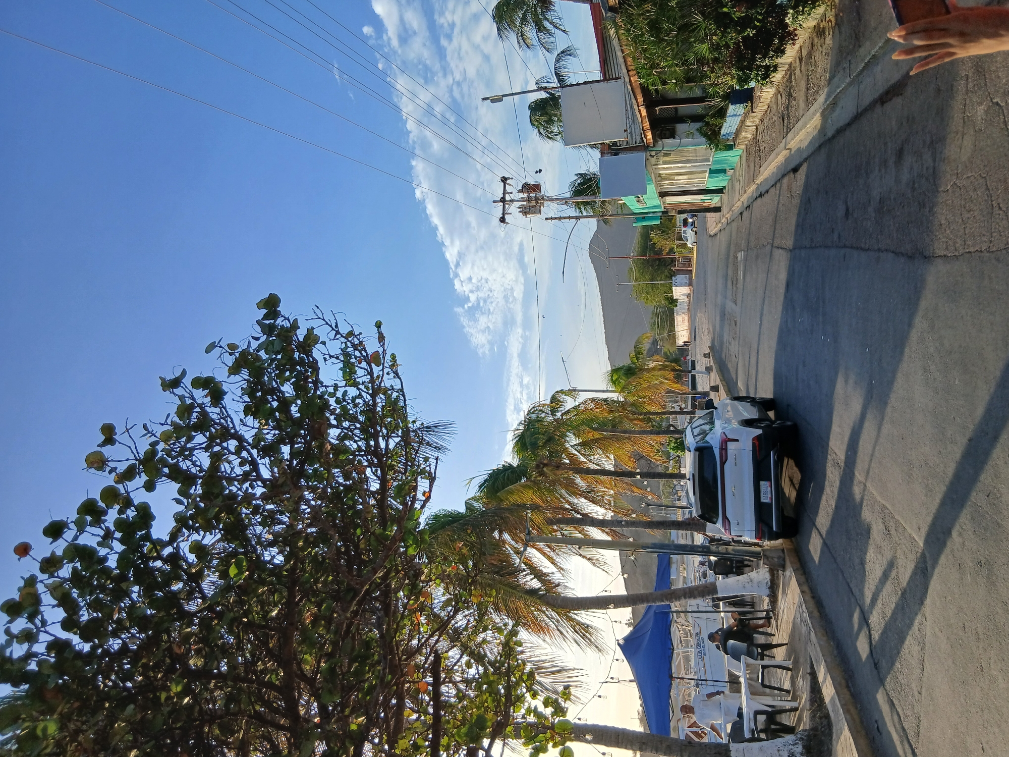 The image depicts a street scene in Juan Griego, Venezuela, angled vertically. The sky is blue with some scattered clouds. Power lines are visible above the street. Buildings line the right side of the street, with a mountain visible in the distance. The left side of the street is lined with palm trees and other trees with green foliage. A white car is parked along the street. A building with blue awnings and outdoor seating, with people sitting at tables, is located behind the palm trees. The street is paved and shows signs of wear and tear. The top right corner of the image shows a hand.
